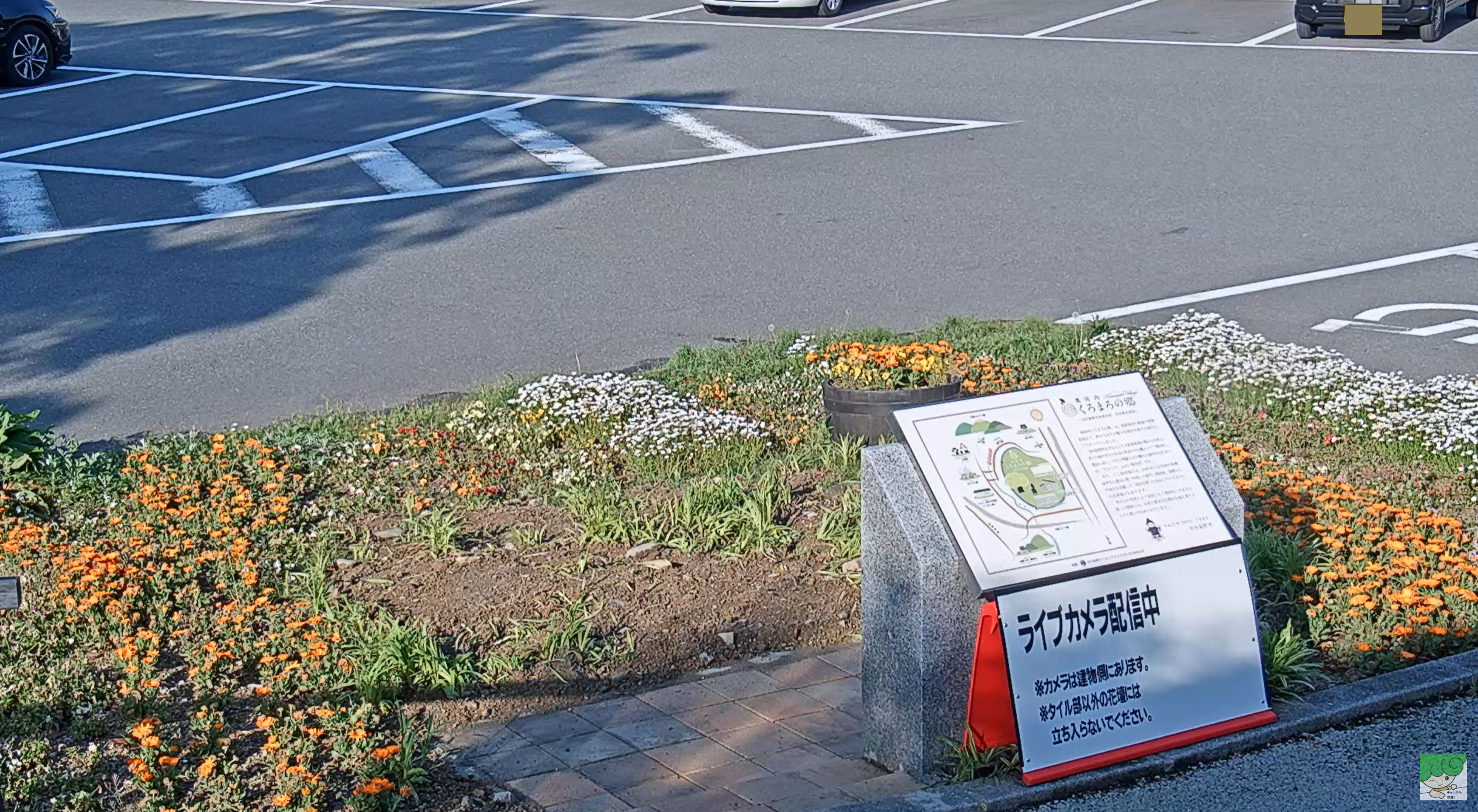 道の駅奥河内くろまろの郷花壇ライブカメラ(大阪府河内長野市高向)