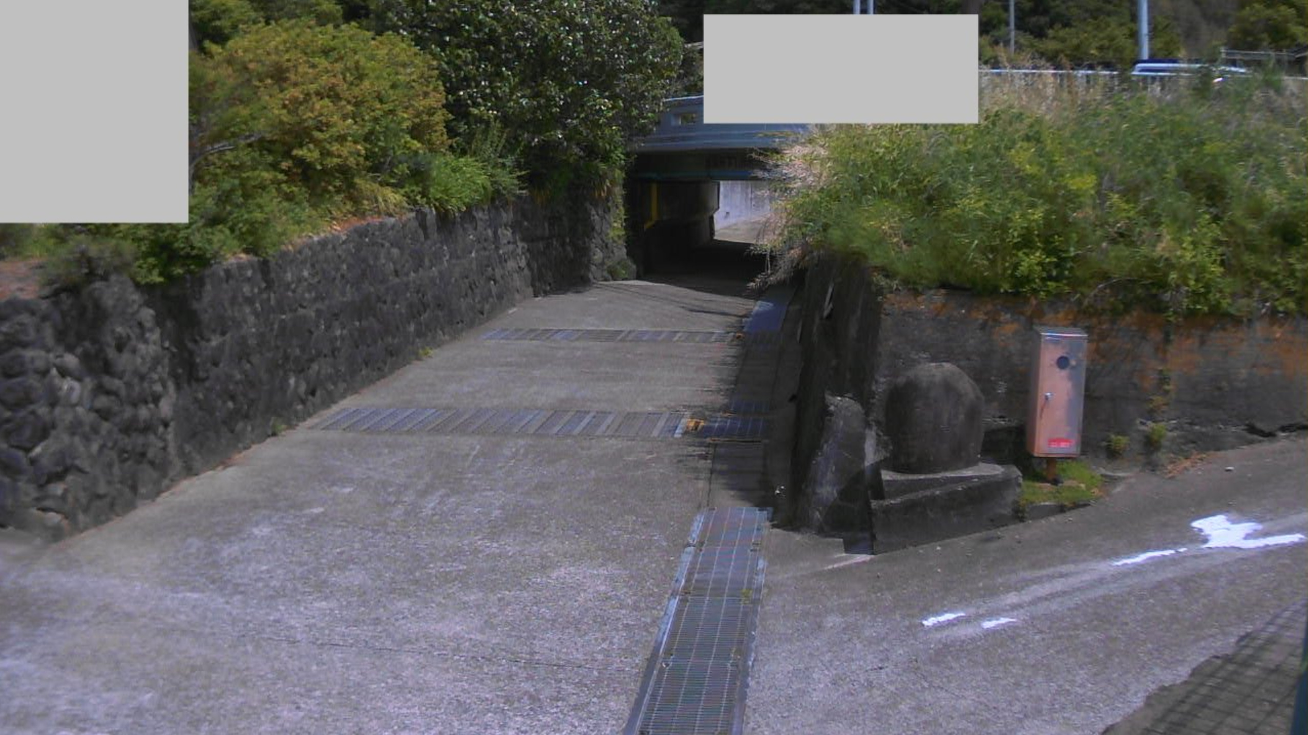 岩太郎川上曽我ライブカメラ(神奈川県小田原市上曽我)