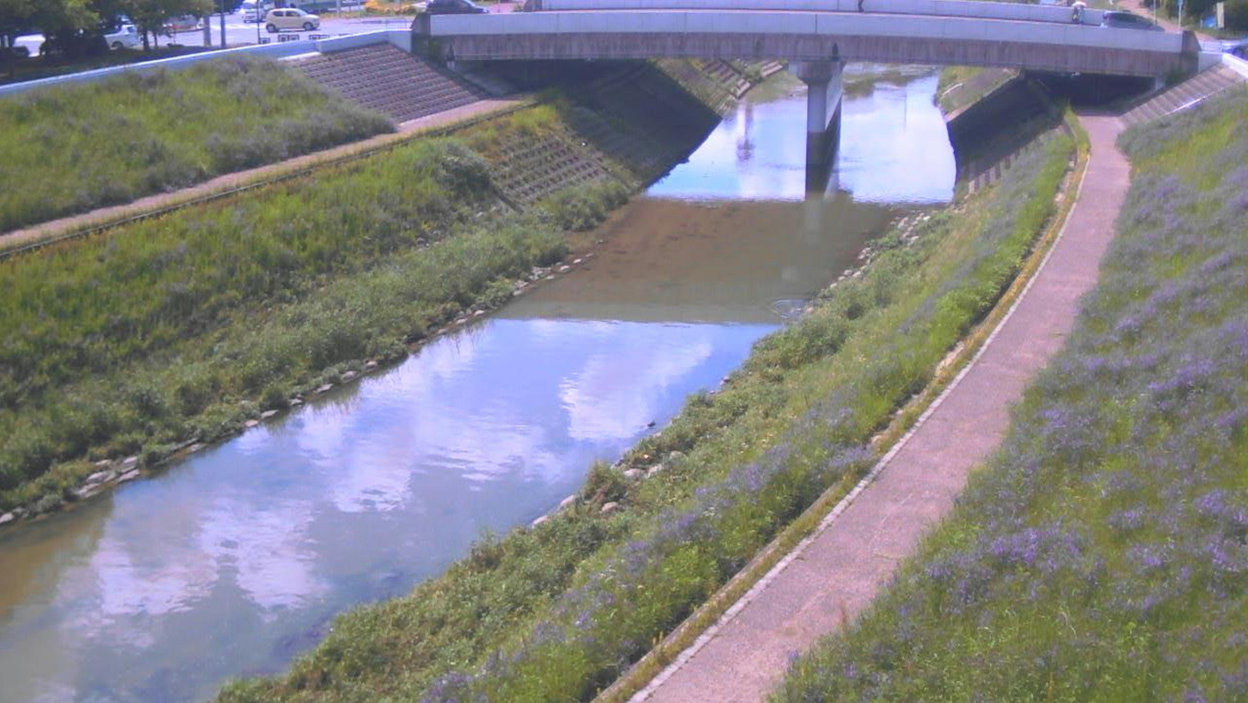 葛下川達磨橋ライブカメラ(奈良県王寺町本町)