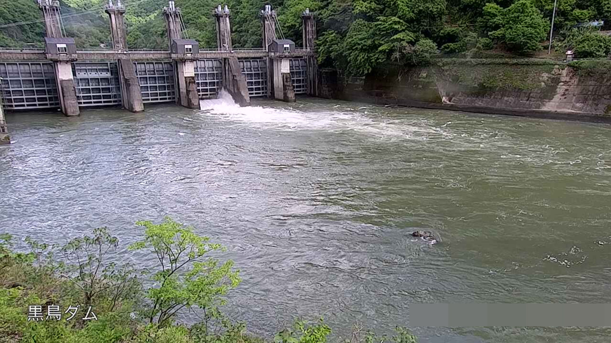 成羽川黒鳥ダムライブカメラ(岡山県高梁市備中町布賀)