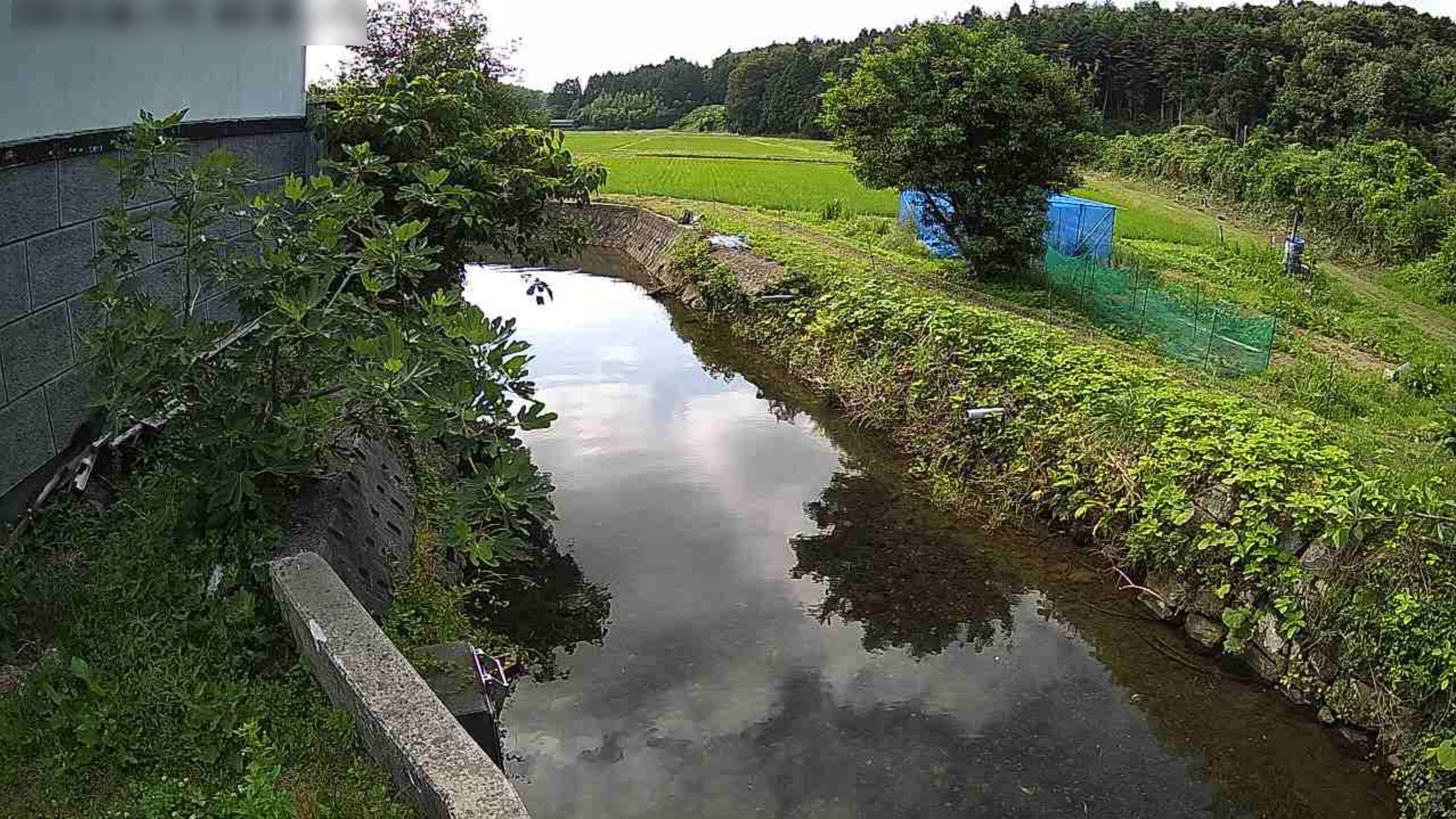 小牧川小牧ライブカメラ(石川県七尾市中島町小牧)