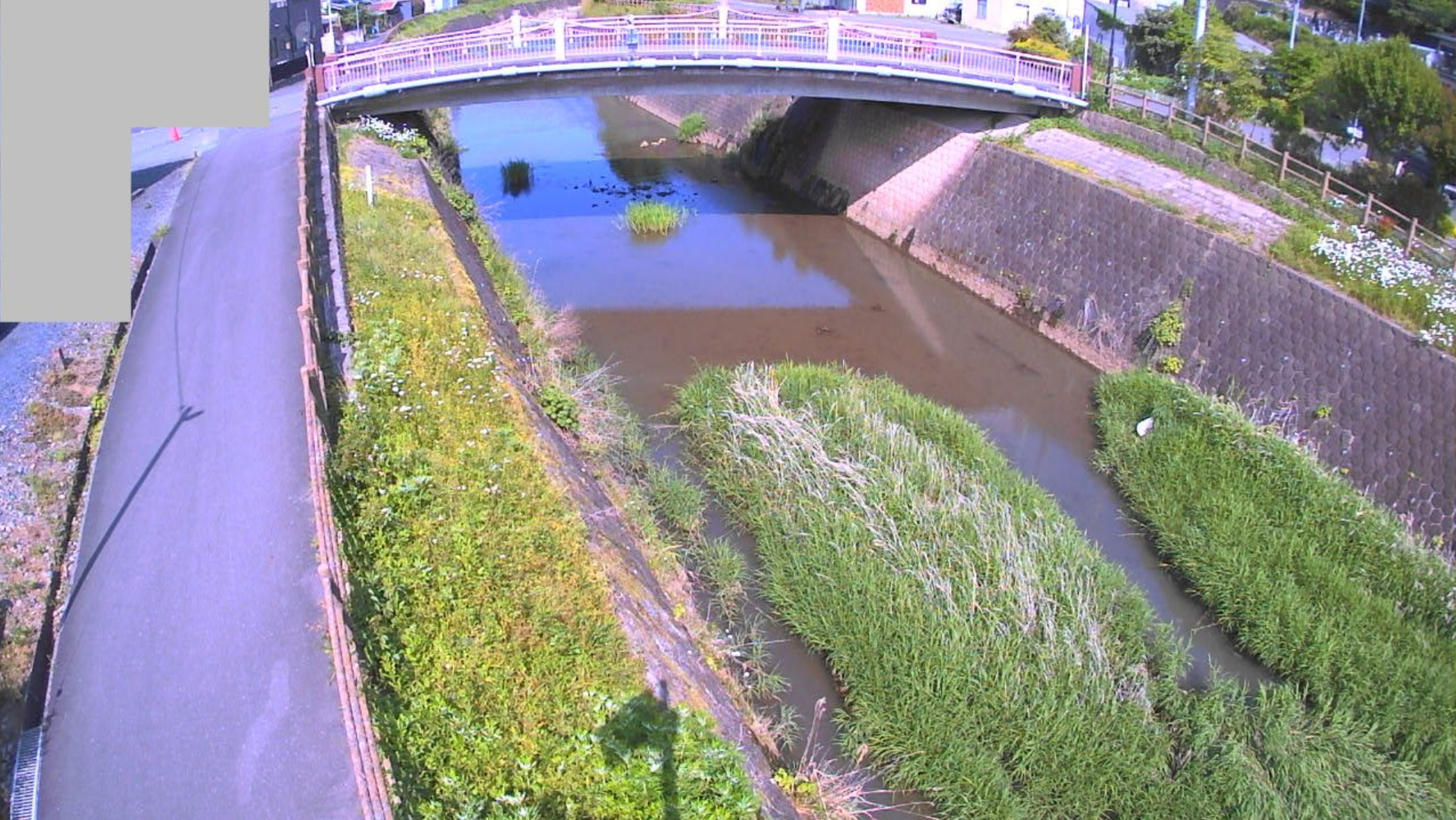 坂井川正明寺橋ライブカメラ(栃木県茂木町茂木)