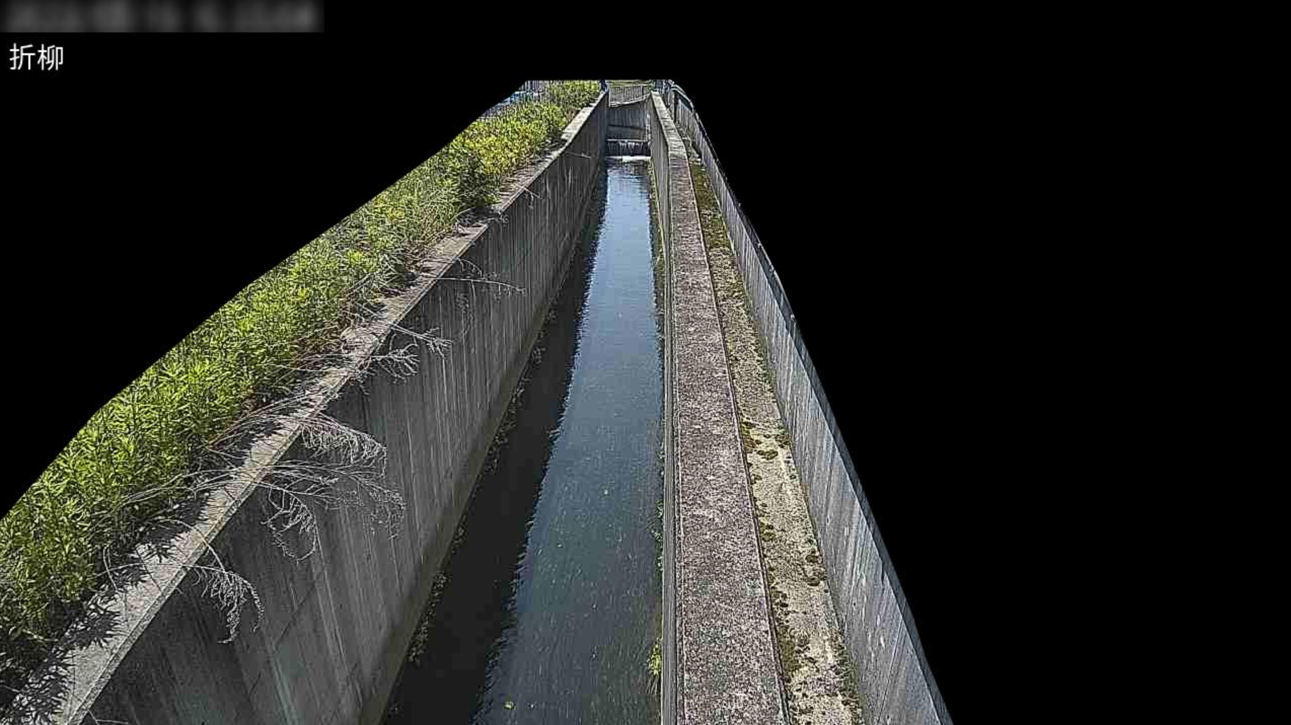 新堂川折柳井堰ライブカメラ(奈良県橿原市新堂町)