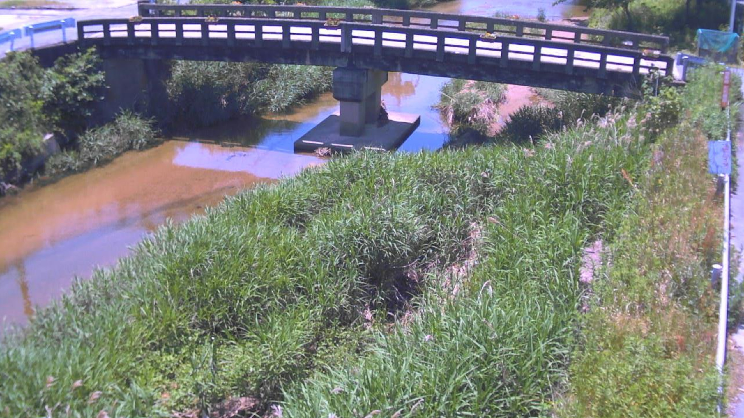 曽我川今住ライブカメラ(奈良県御所市今住)