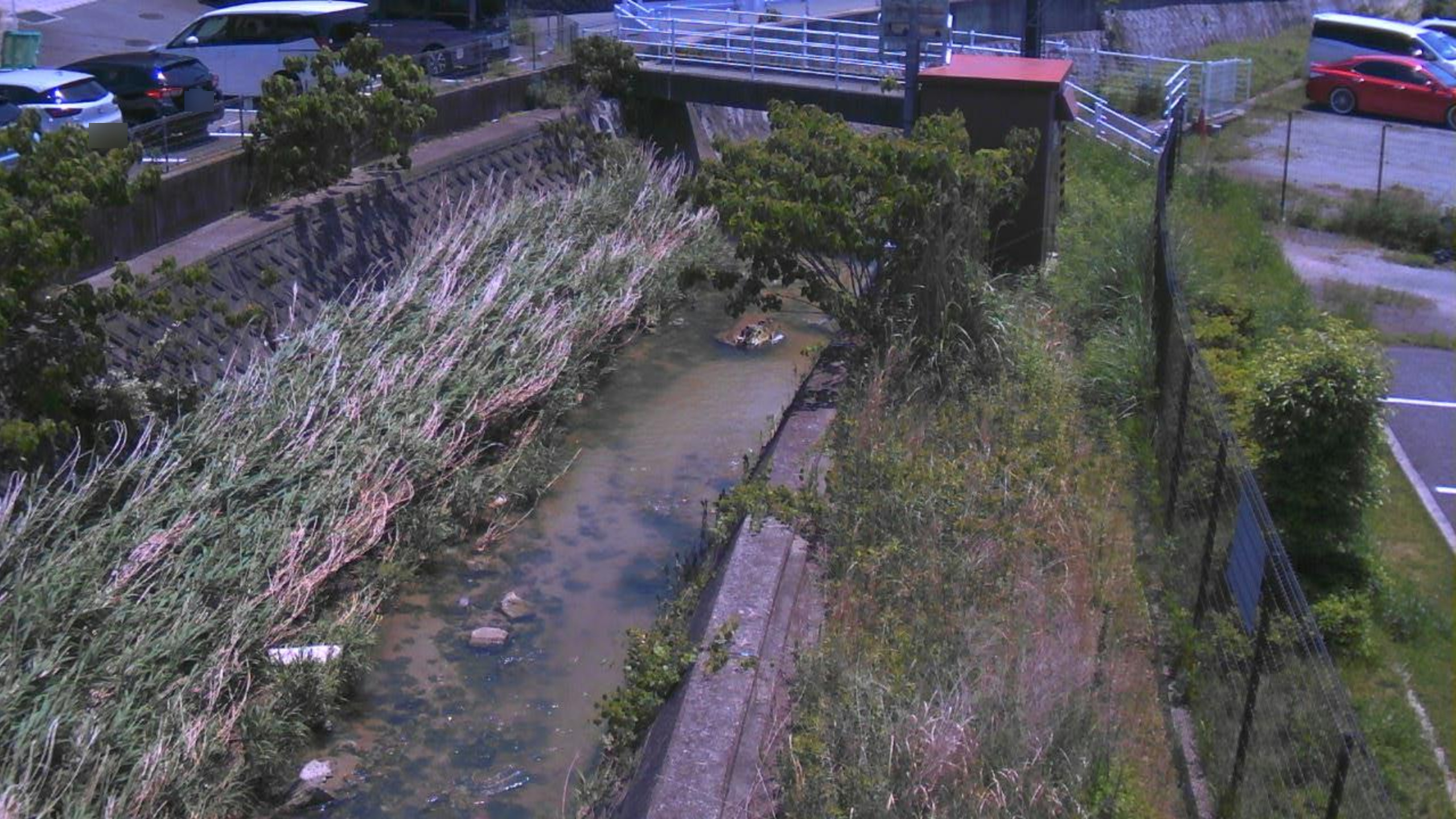 竜田川谷田ライブカメラ(奈良県生駒市谷田町)