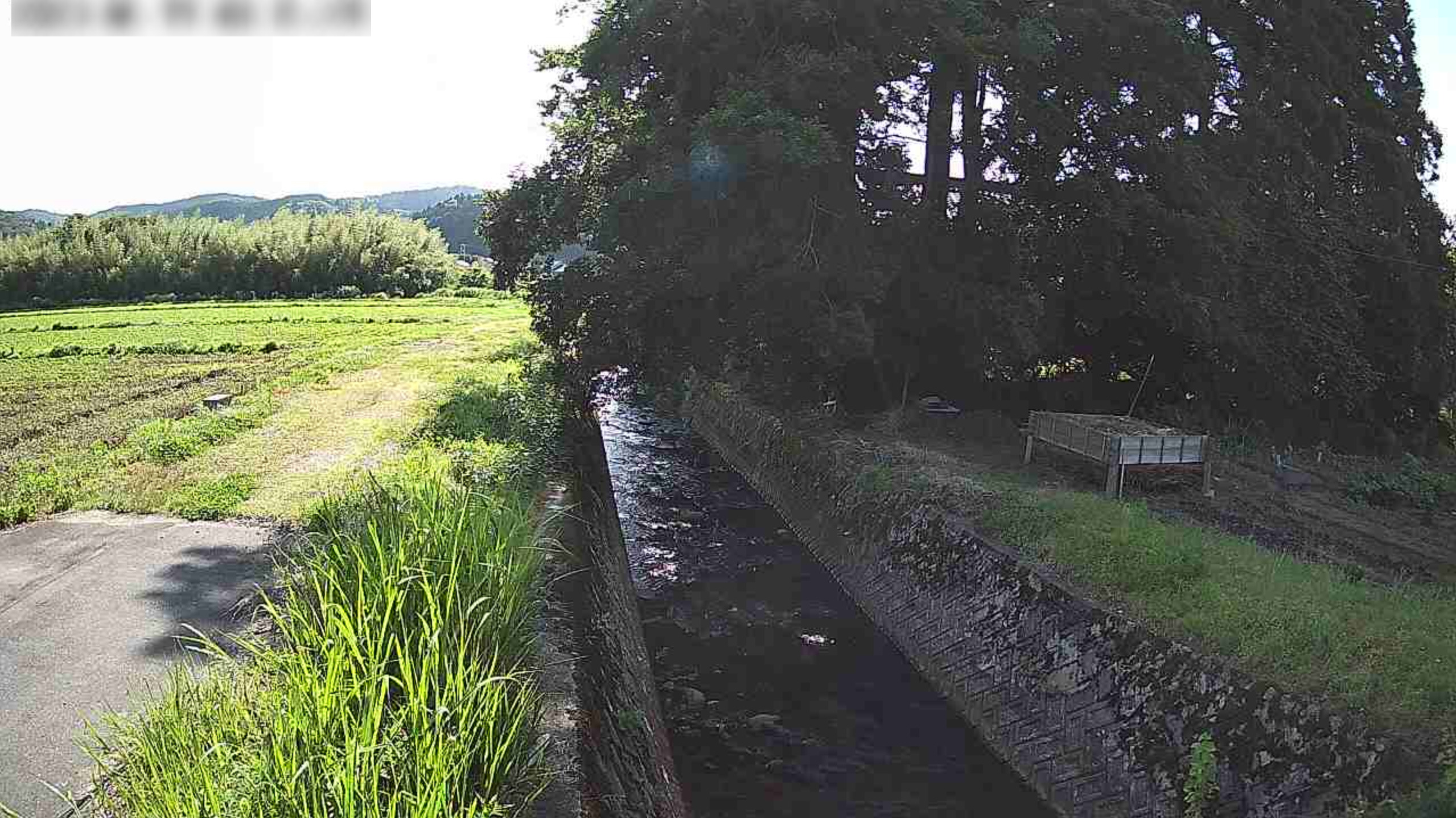 鳥越川鳥越ライブカメラ(石川県七尾市中島町鳥越)