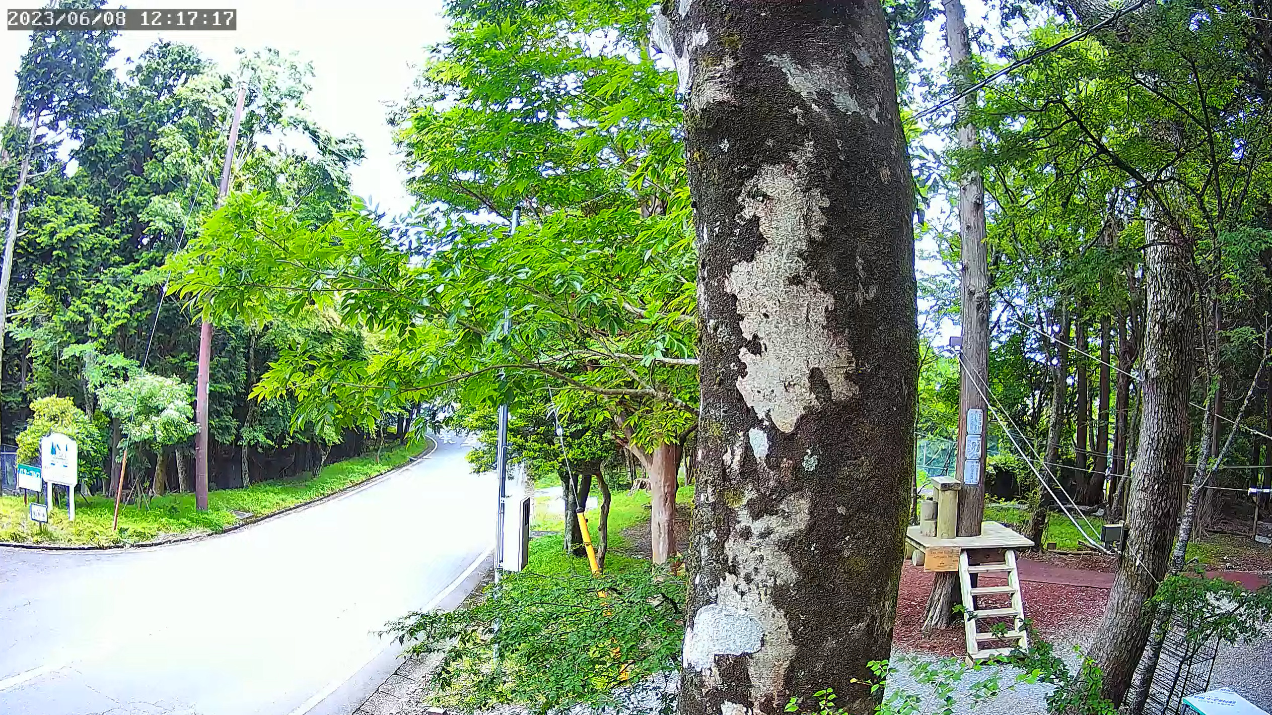 あまぎスカイアドベンチャーライブカメラ(静岡県伊豆市冷川)