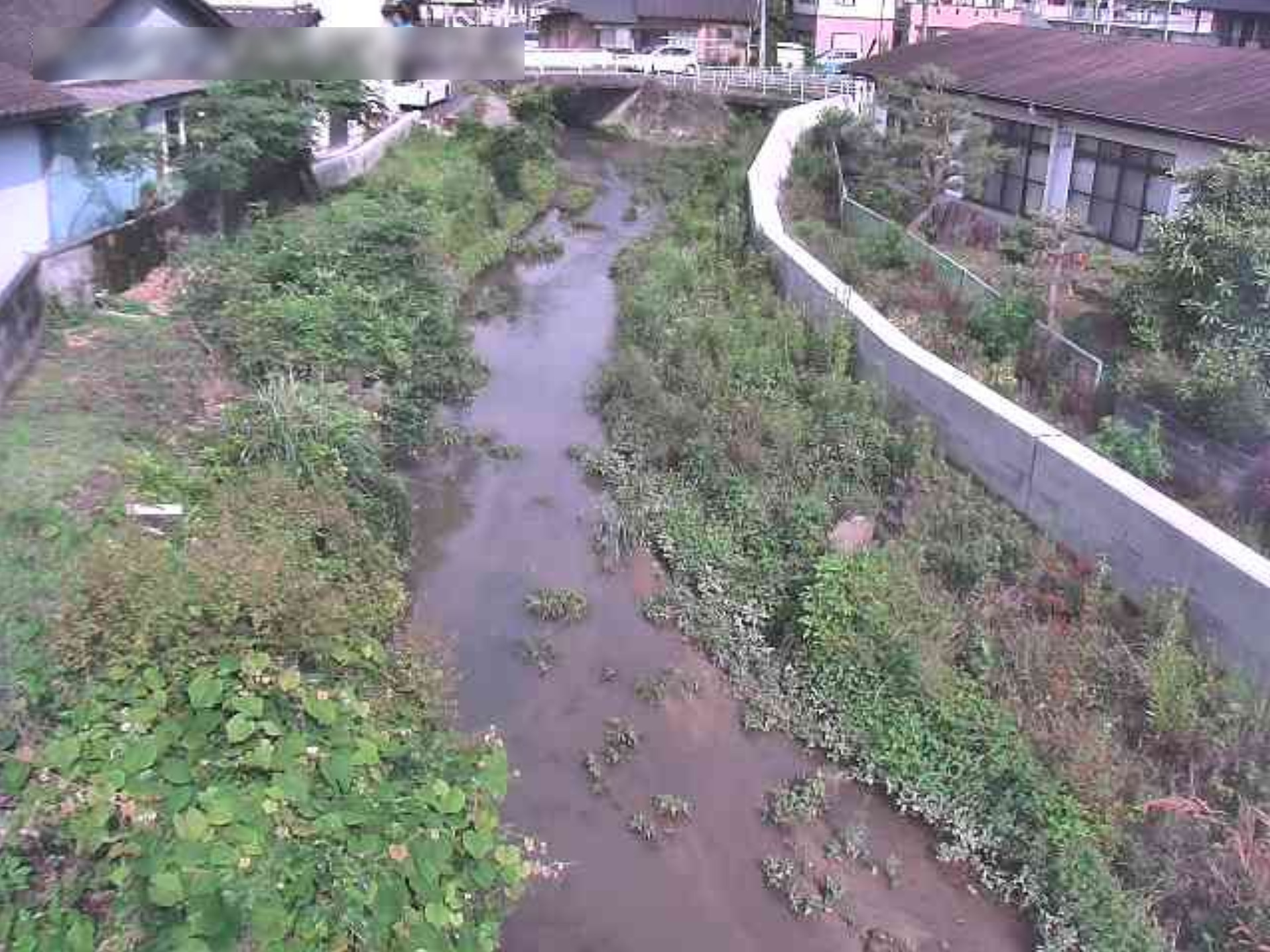 宮川新竹之内橋ライブカメラ(福島県いわき市内郷宮町)