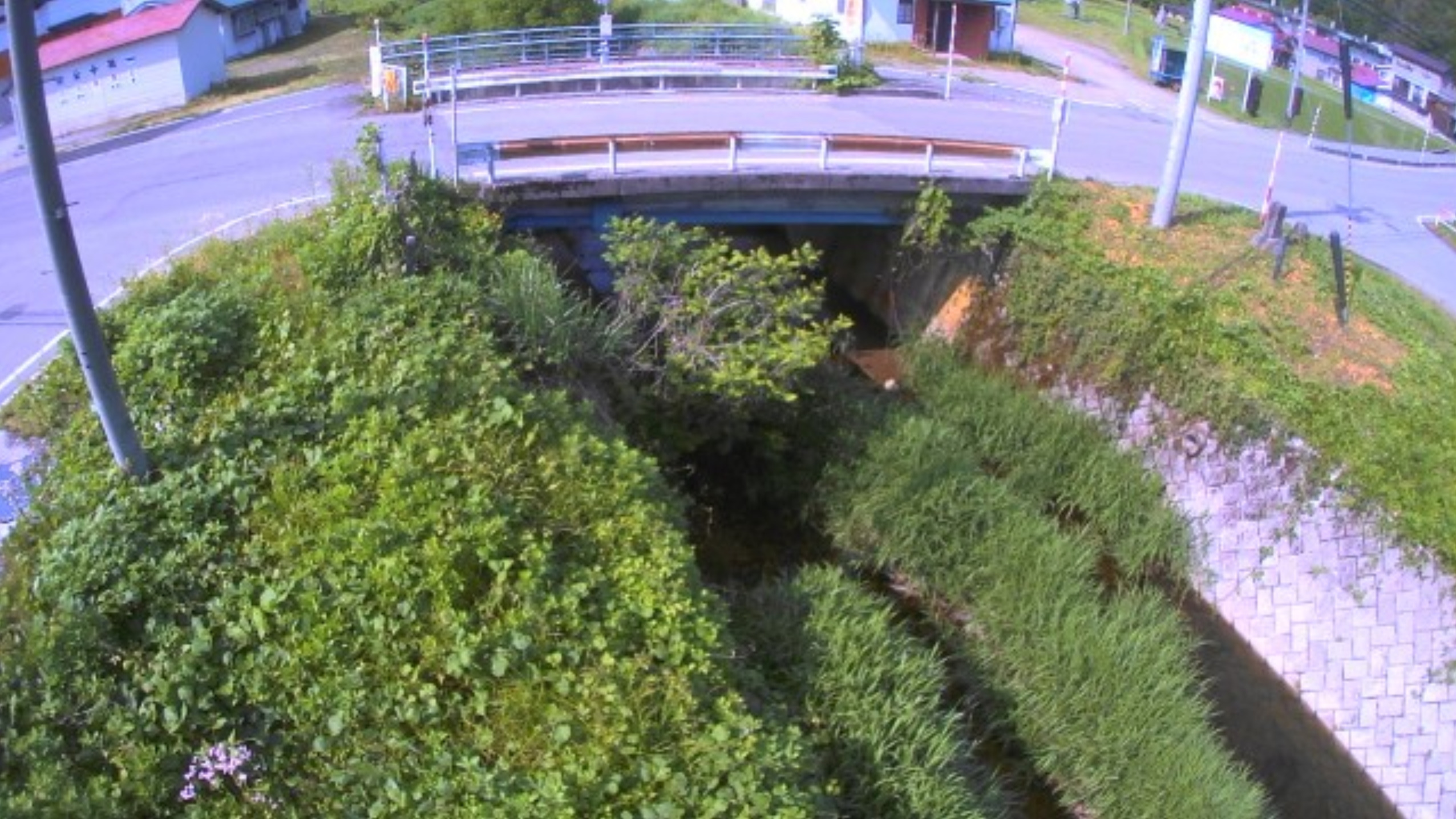 柳沢川薬師橋ライブカメラ(福島県昭和村小中津川)