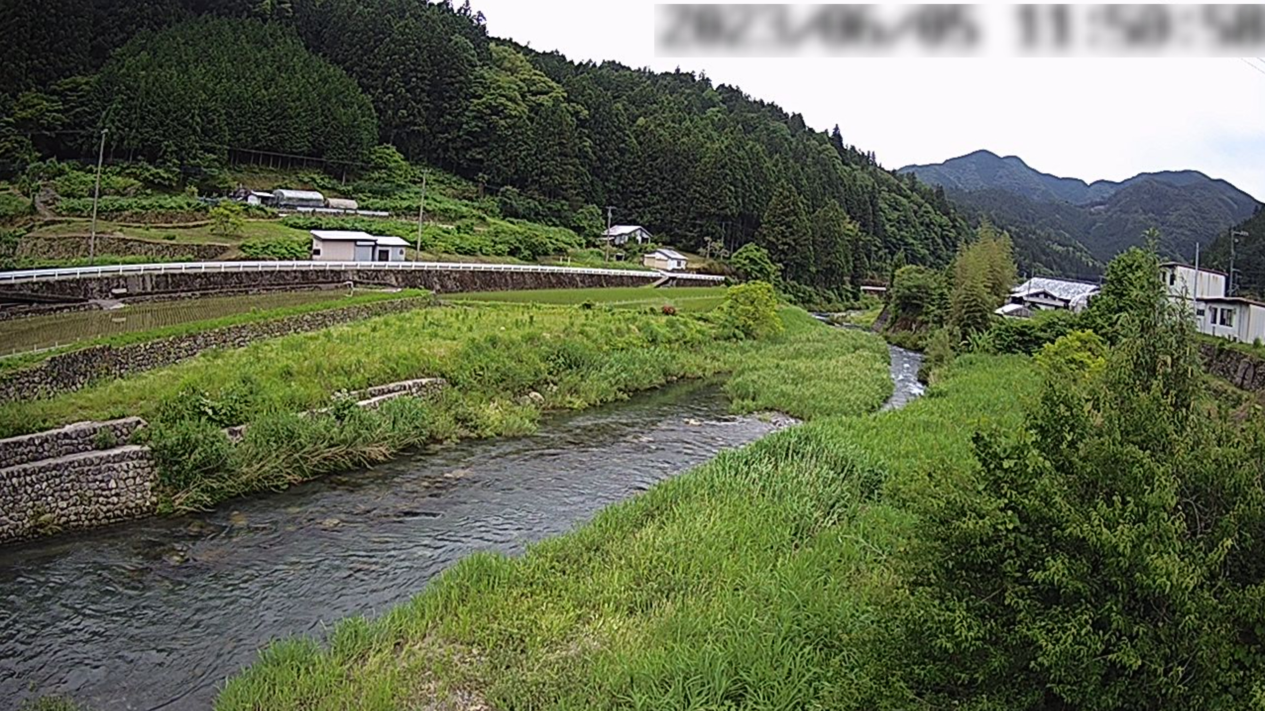 梼原川田野々ライブカメラ(高知県梼原町田野々)