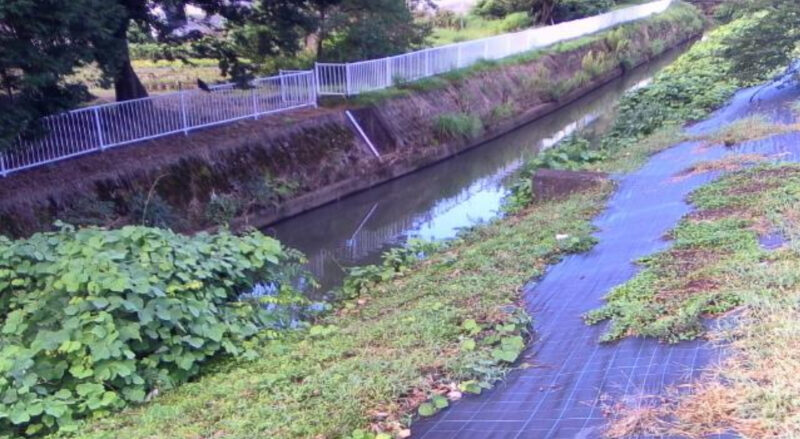 朝六川安保ライブカメラ(福井県福井市安保町)