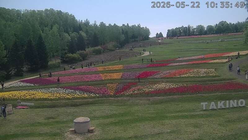 滝野すずらん丘陵公園中央口ライブカメラ(北海道札幌市南区滝野) 2026年5月22日 見頃の約120品種23万球のチューリップ