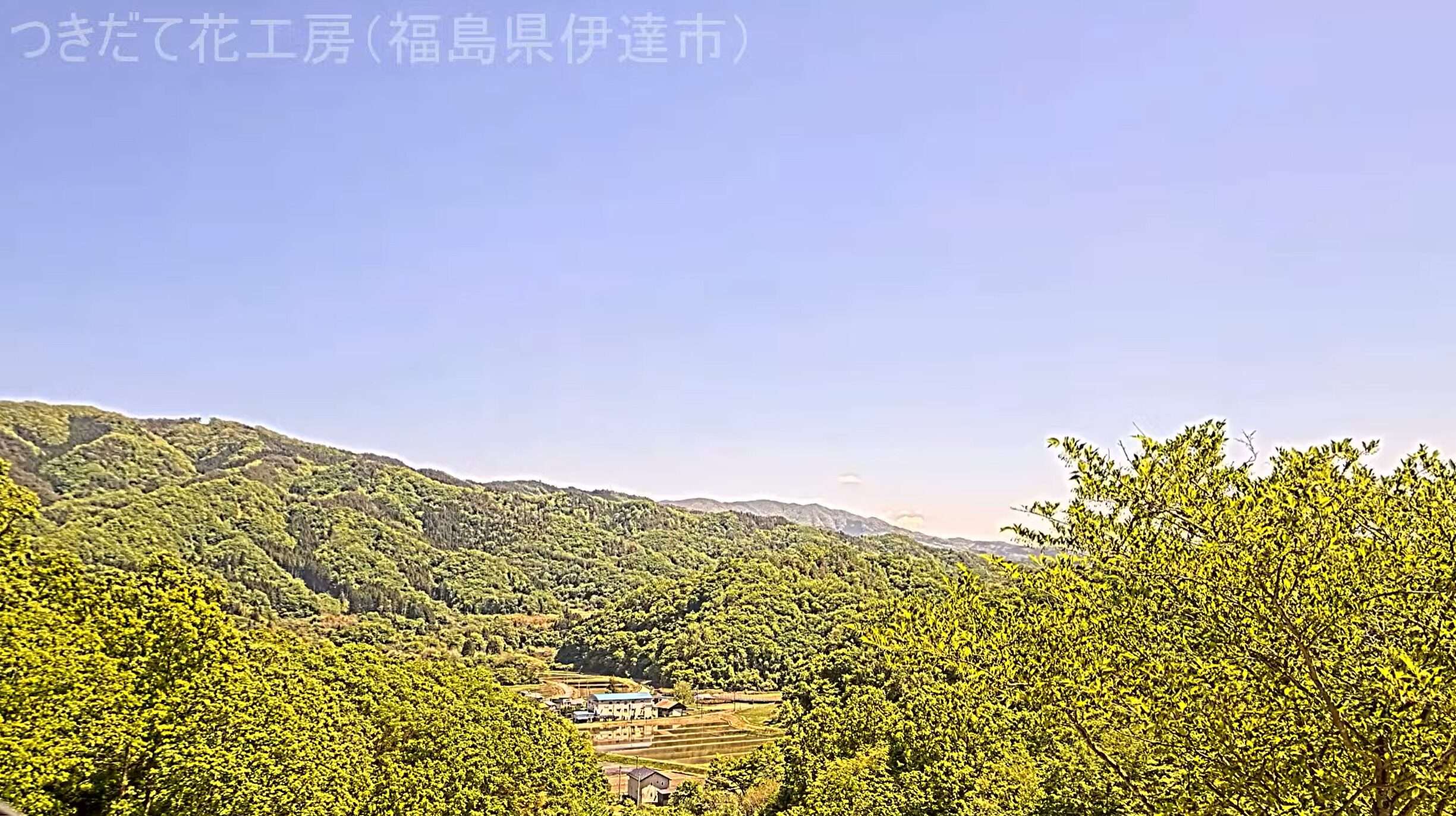 つきだて花工房ライブカメラ(福島県伊達市月舘町下手渡)