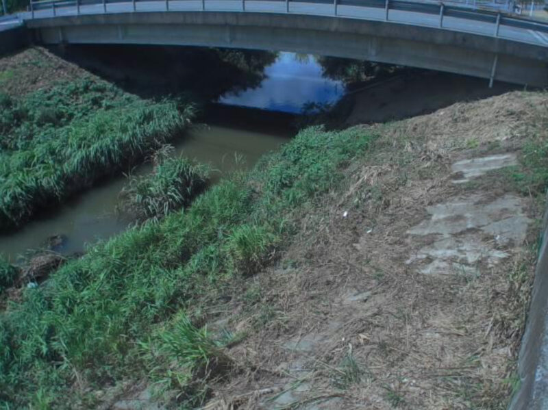 和田川近田橋ライブカメラ(福井県越前町上川去)