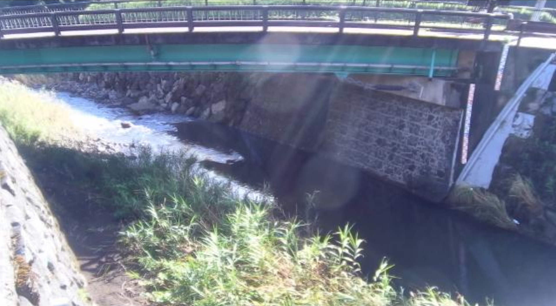 一乗谷川上城戸橋ライブカメラ(福井県福井市西新町)