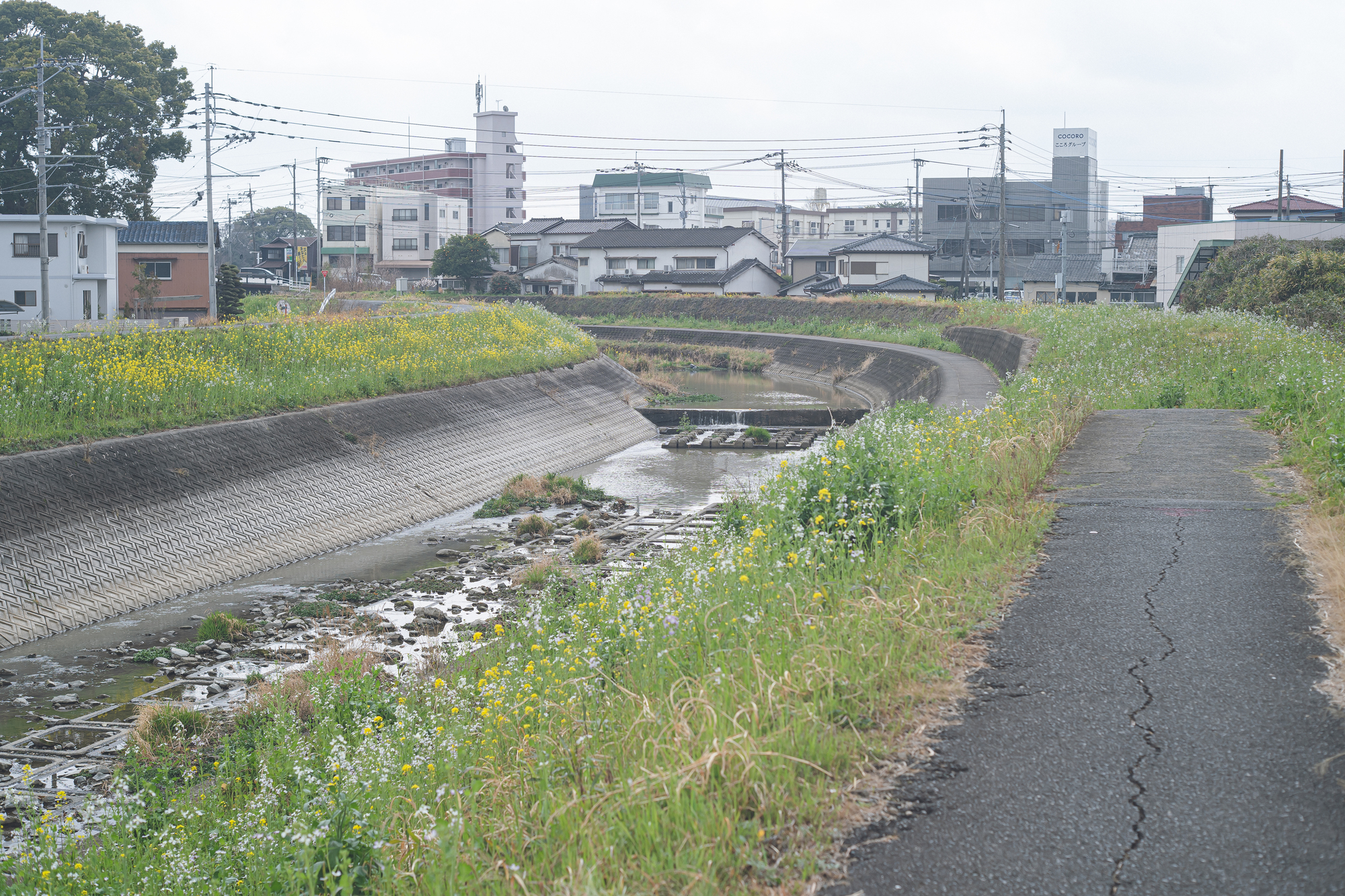 高良川(筑後川水系)ライブカメラ一覧