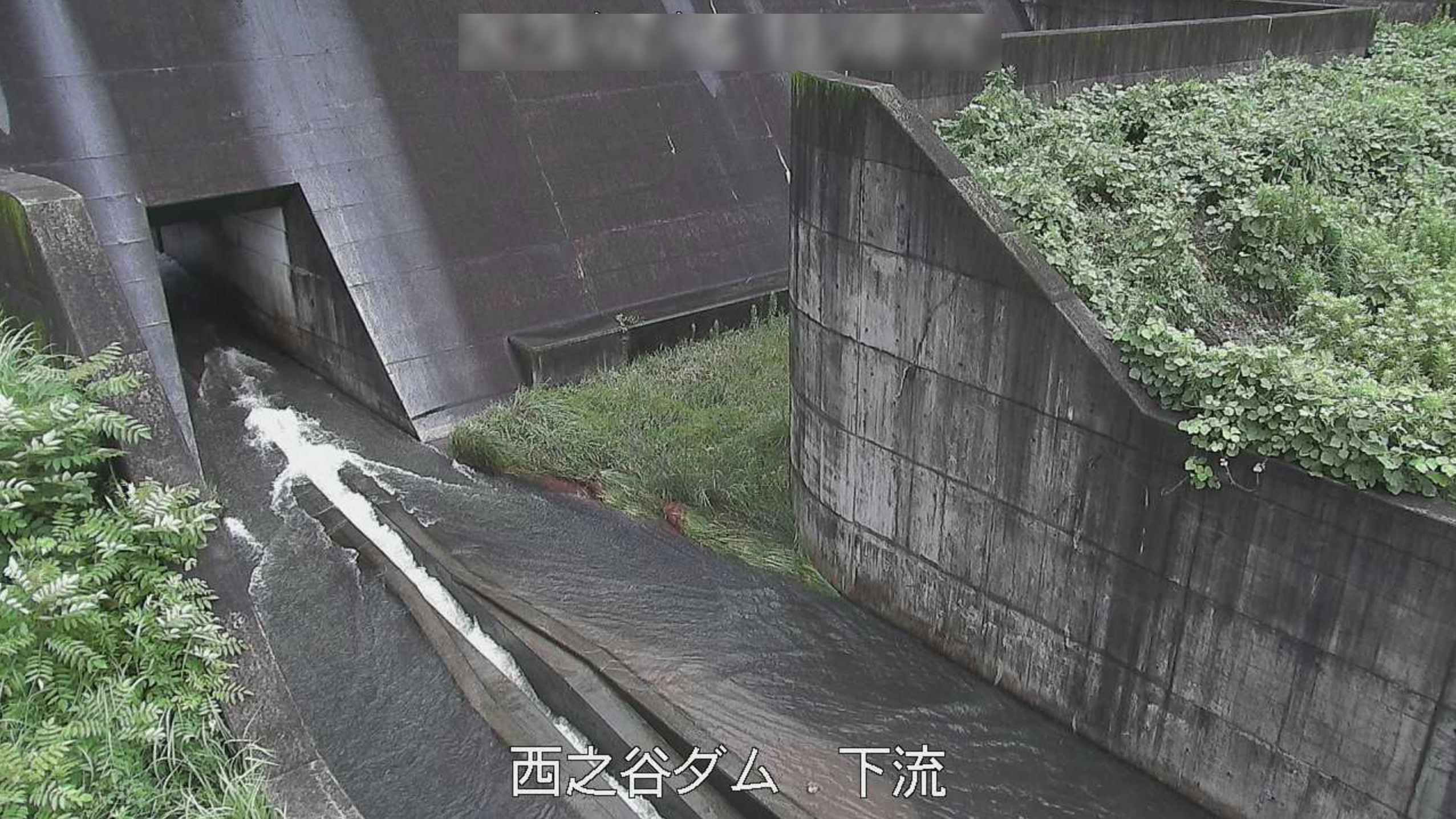 西之谷ダム下流ライブカメラ(鹿児島県鹿児島市小野町)