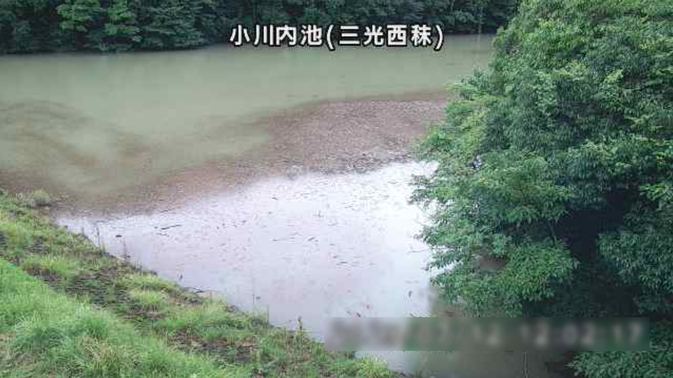 小川内池ライブカメラ(大分県中津市三光西秣)