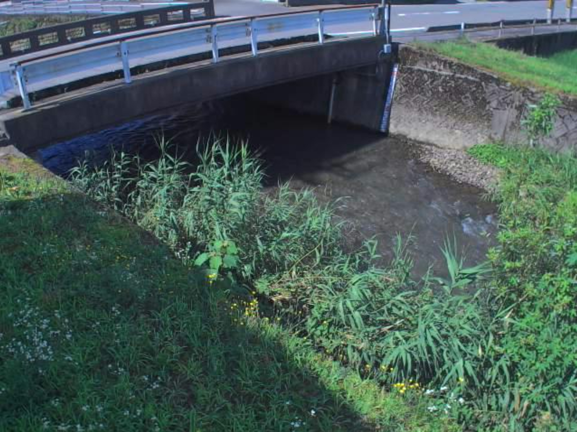 大塩谷川下平吹ライブカメラ(福井県越前市下平吹町)