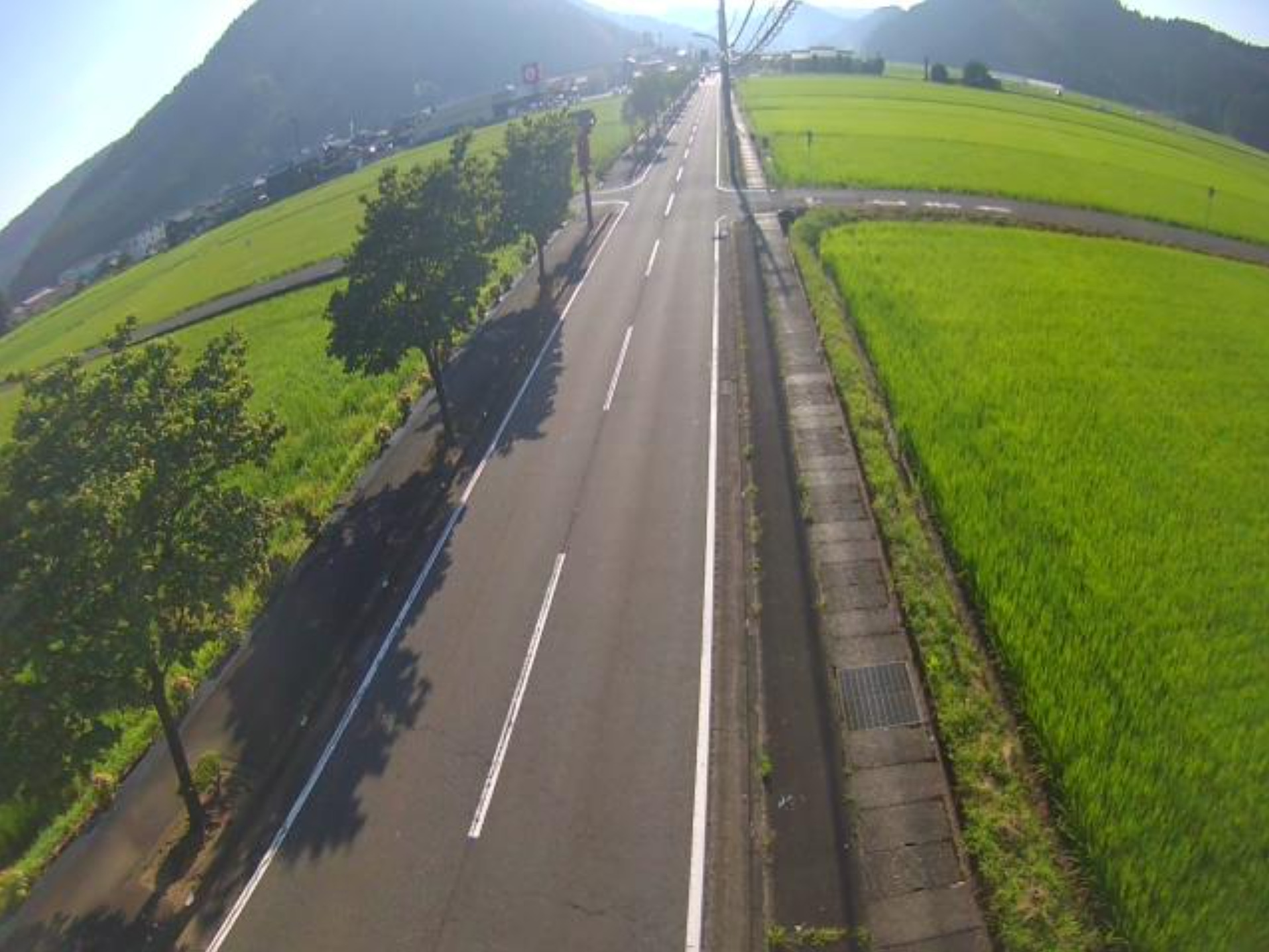 鯖江市市道川島町ライブカメラ(福井県鯖江市川島町)