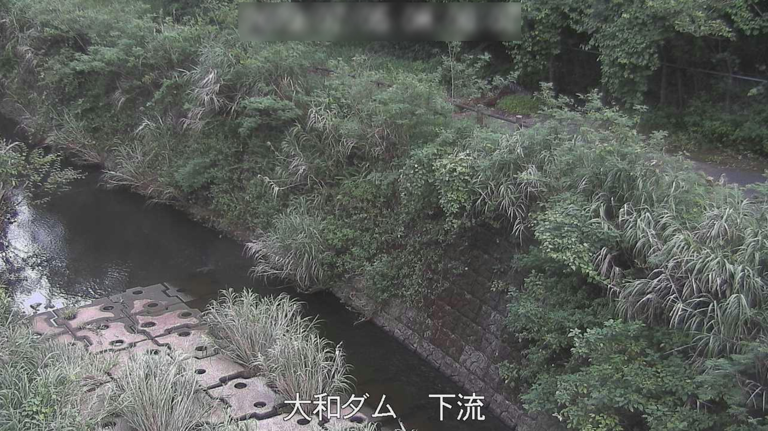 大和ダム下流ライブカメラ(鹿児島県大和村思勝)