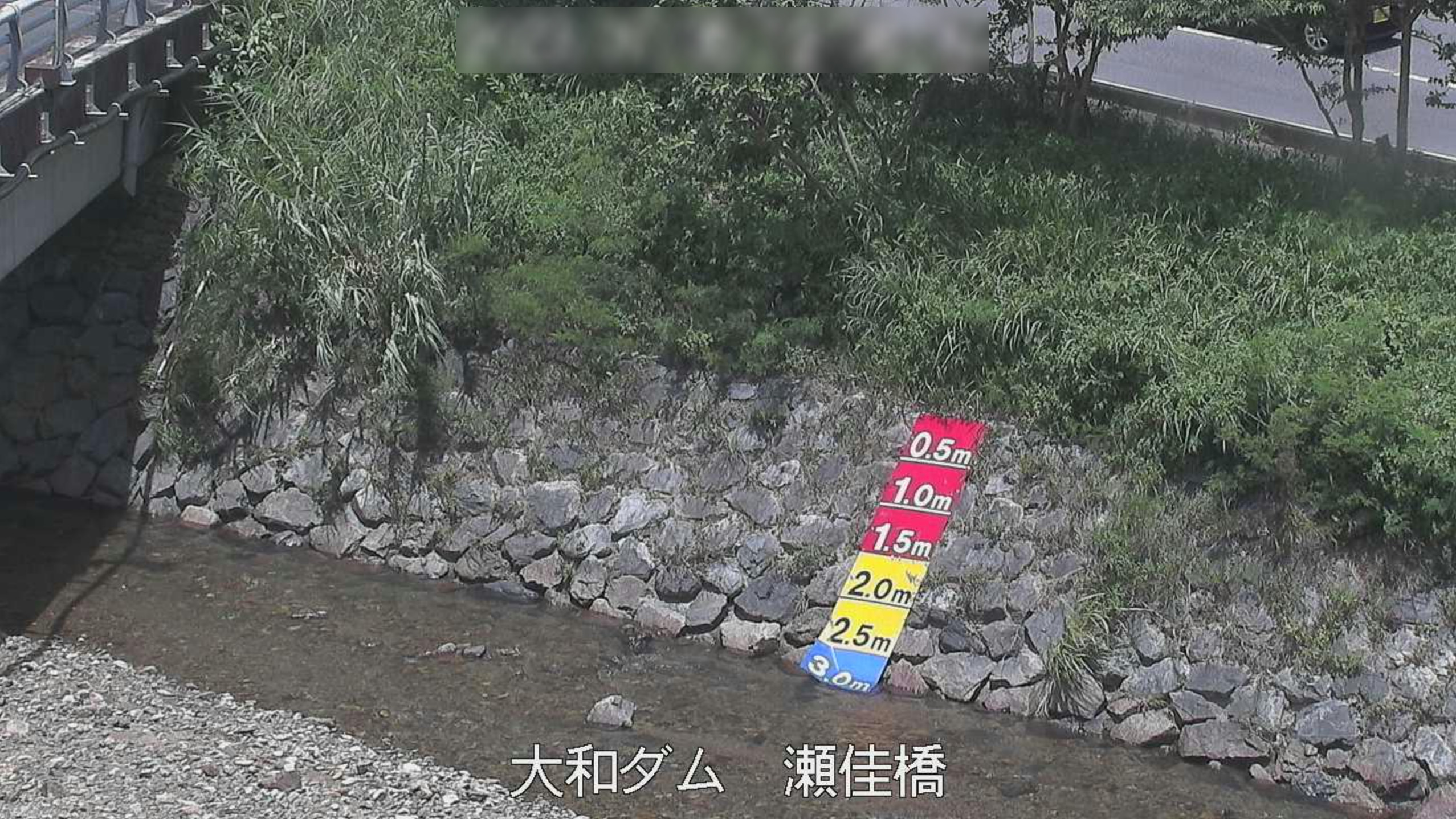 大和川瀬佳橋ライブカメラ(鹿児島県大和村思勝)