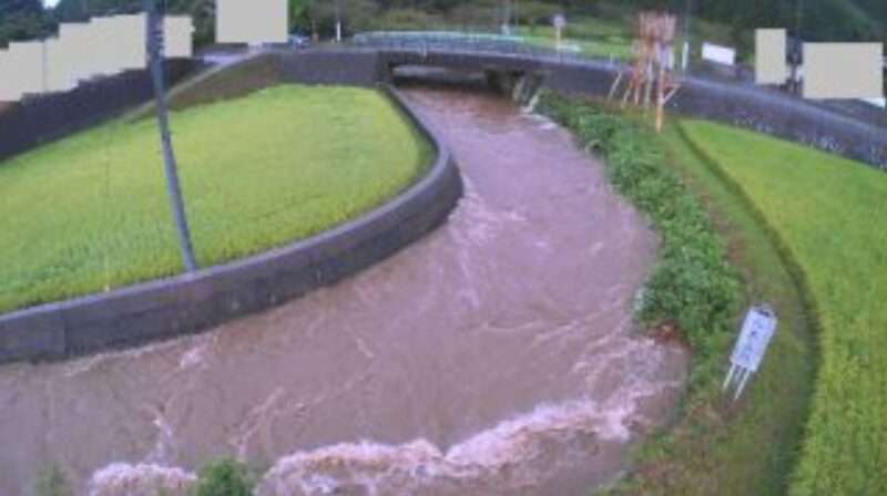 八木山川市瀬橋ライブカメラ(福岡県飯塚市八木山) 2025年8月10日19時00分 氾濫危険水位