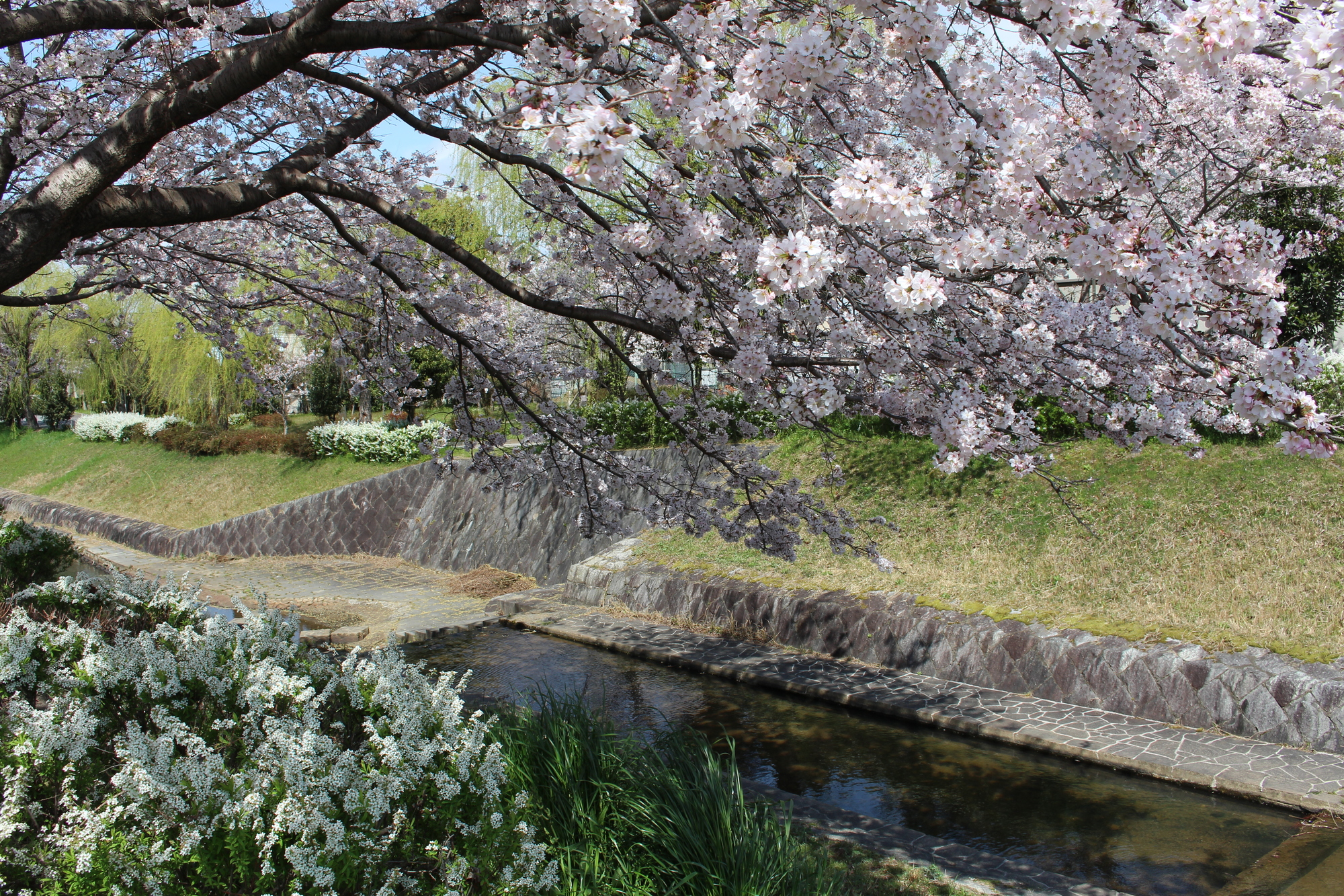 防賀川(淀川水系)ライブカメラ一覧