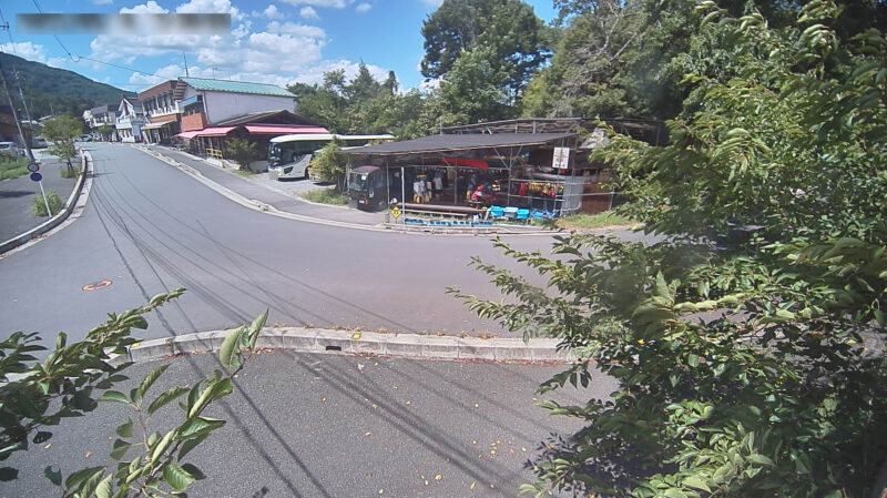 上長瀞駅前ライブカメラ(埼玉県長瀞町長瀞)