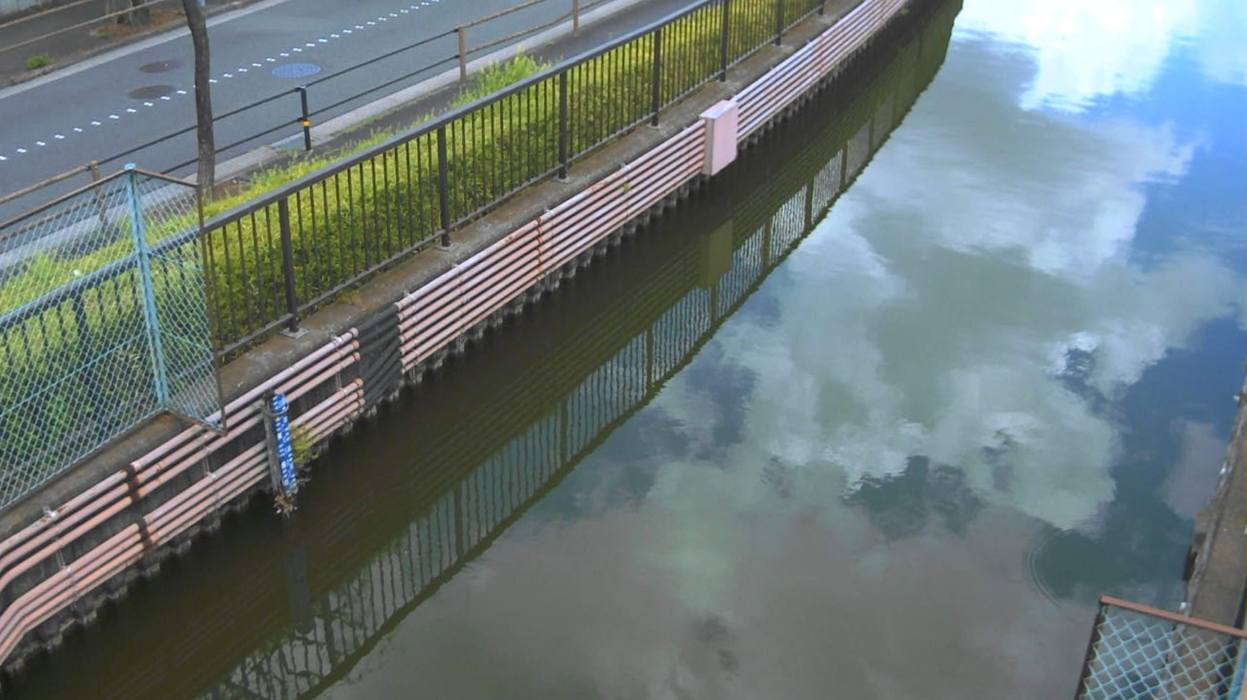 水元小合溜ライブカメラ(東京都葛飾区東水元)