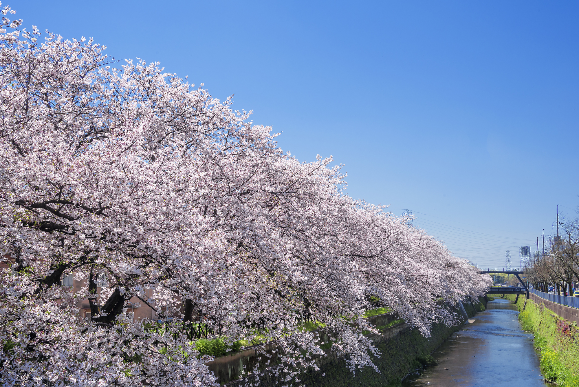 天神川(淀川水系 - 桂川支流 - 京都市)ライブカメラ一覧