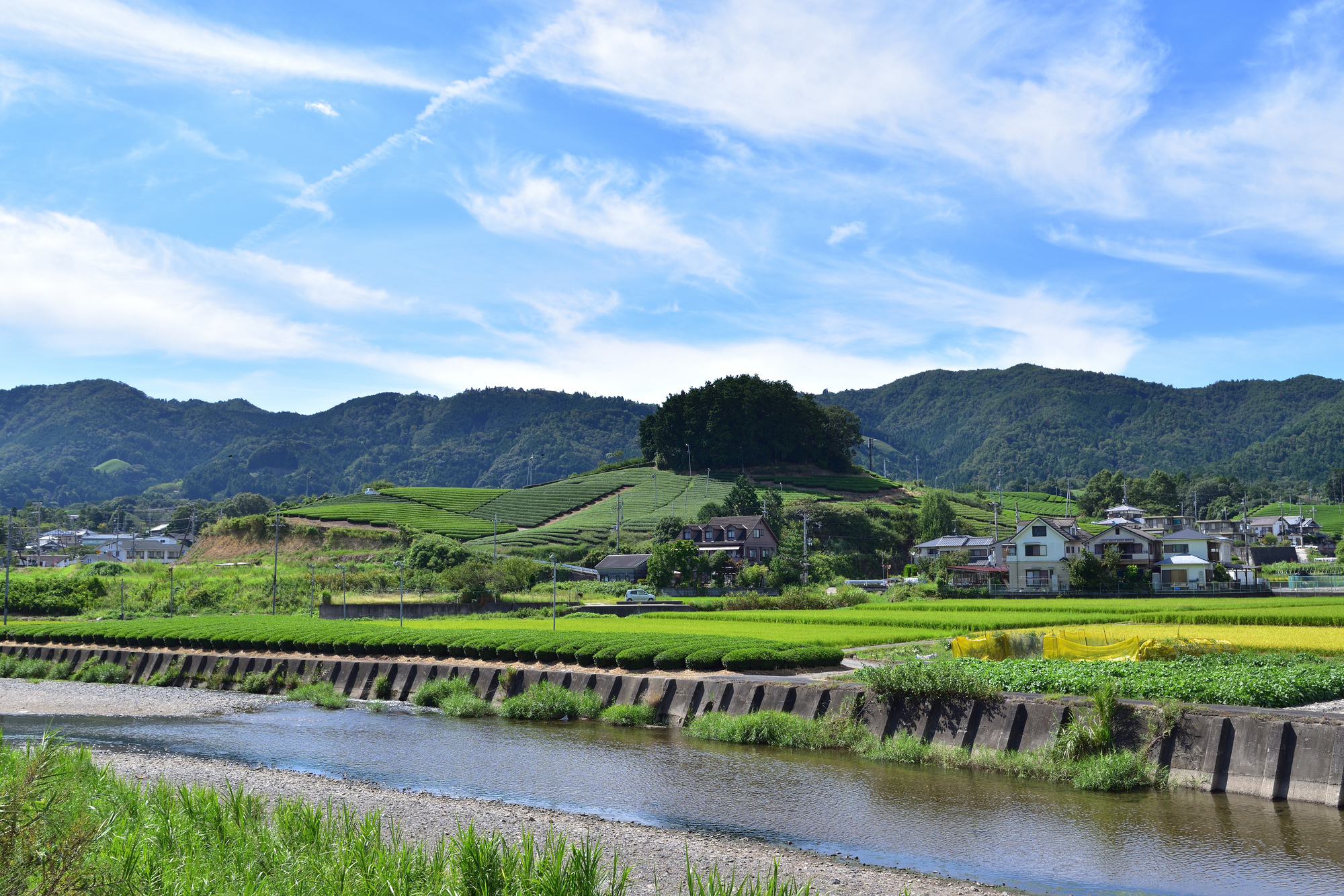 和束川(淀川水系)ライブカメラ一覧