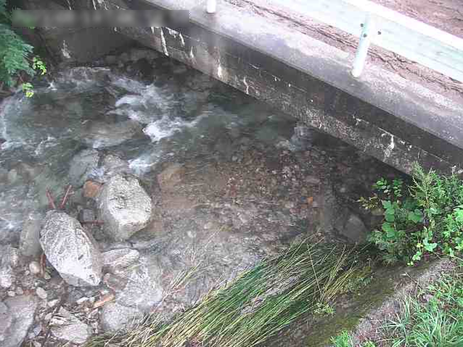 八河谷川八河谷ライブカメラ(鳥取県智頭町八河谷)