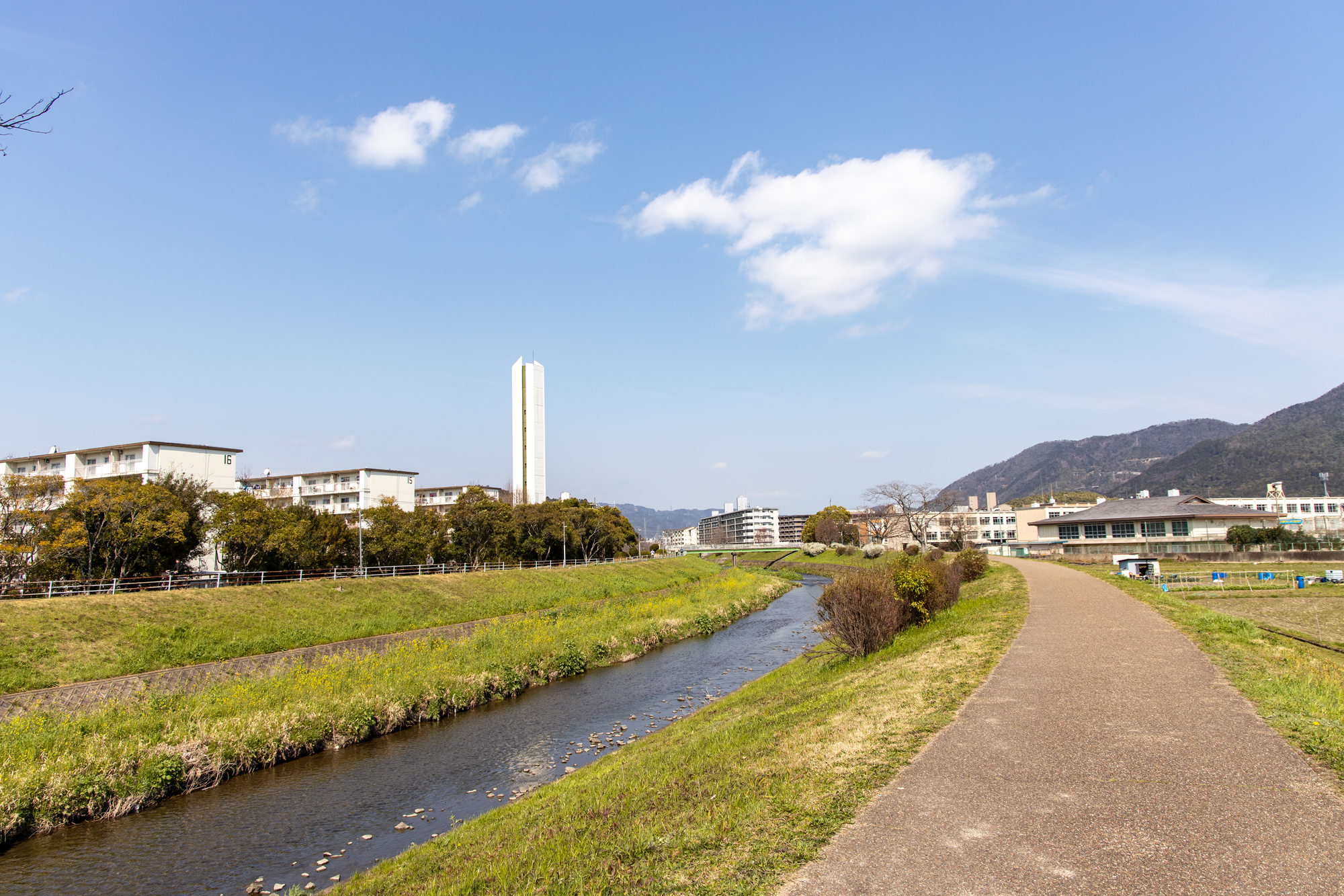 山科川(淀川水系)ライブカメラ一覧
