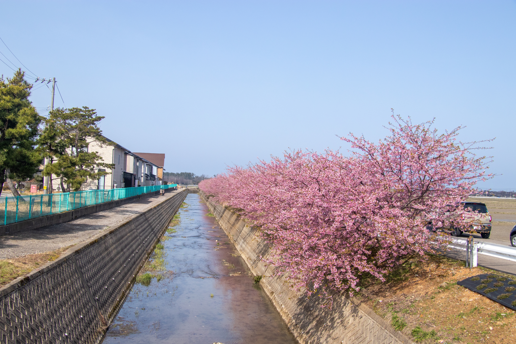 堂尻川(手取川水系)ライブカメラ一覧