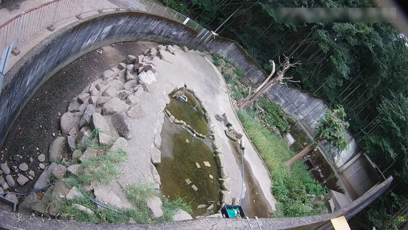 日本ライン花木センターあらいぐまライブカメラ(岐阜県可児市土田)