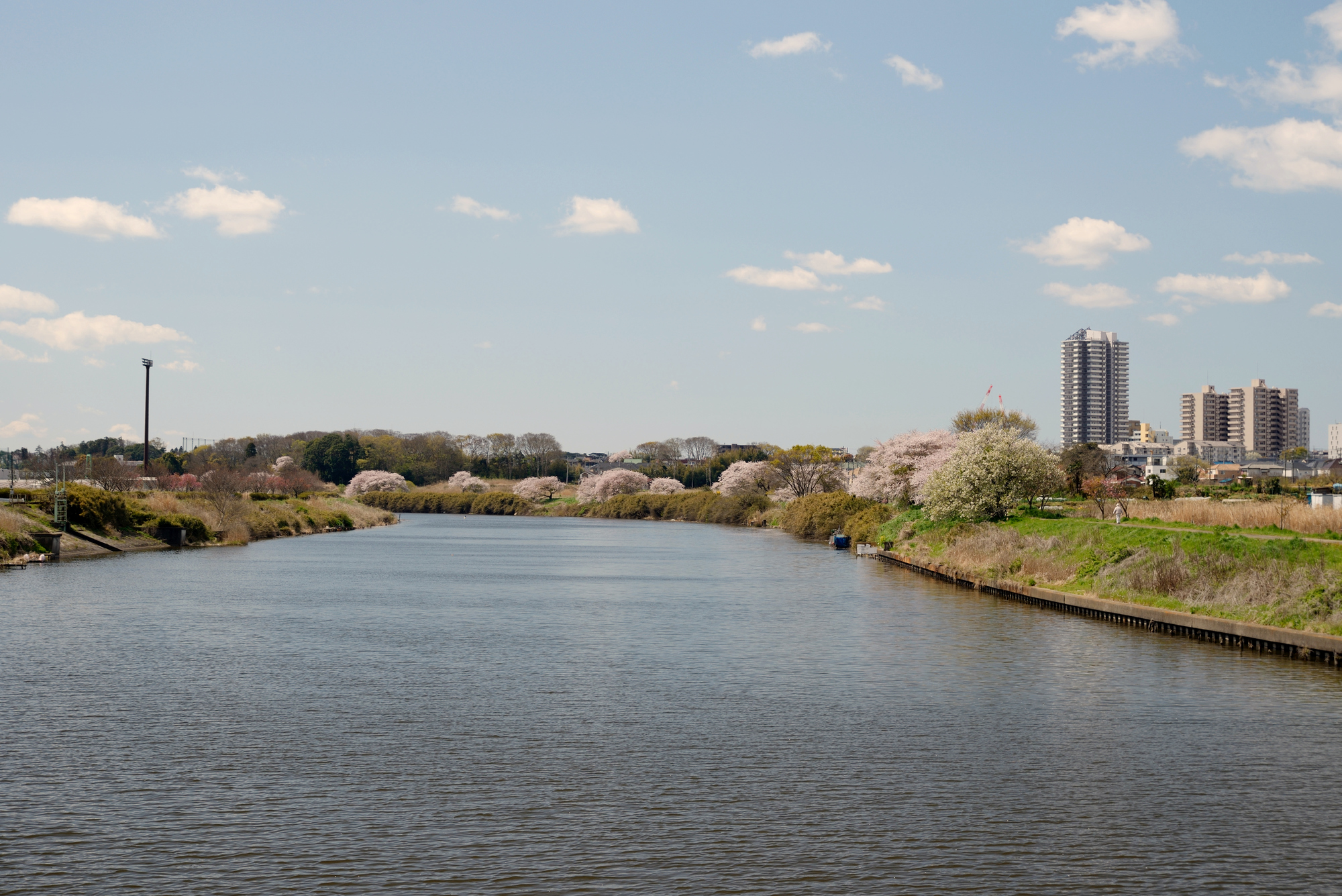 新川(新川水系 - 千葉県)ライブカメラ一覧