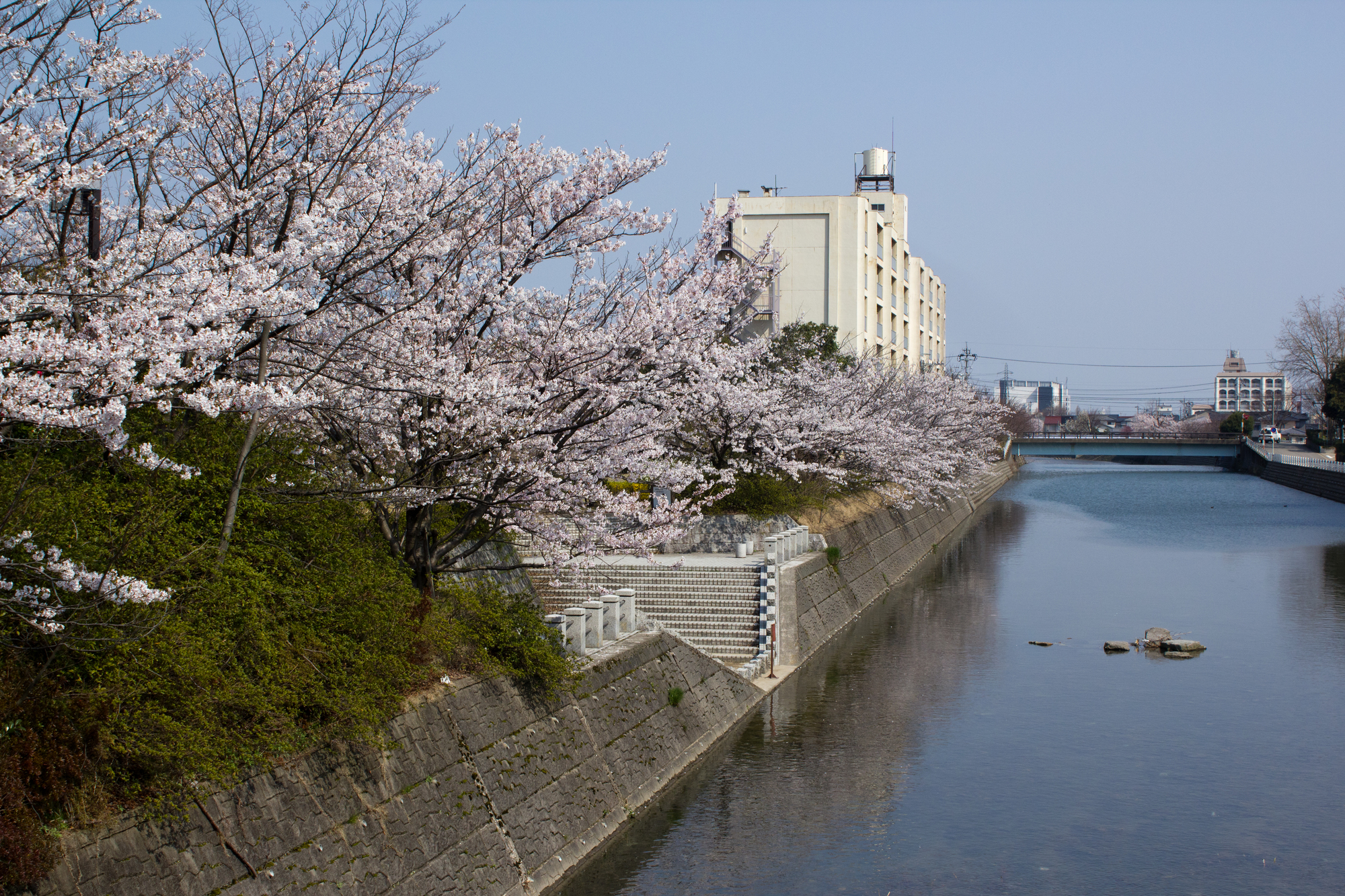 高橋川(犀川水系)ライブカメラ一覧