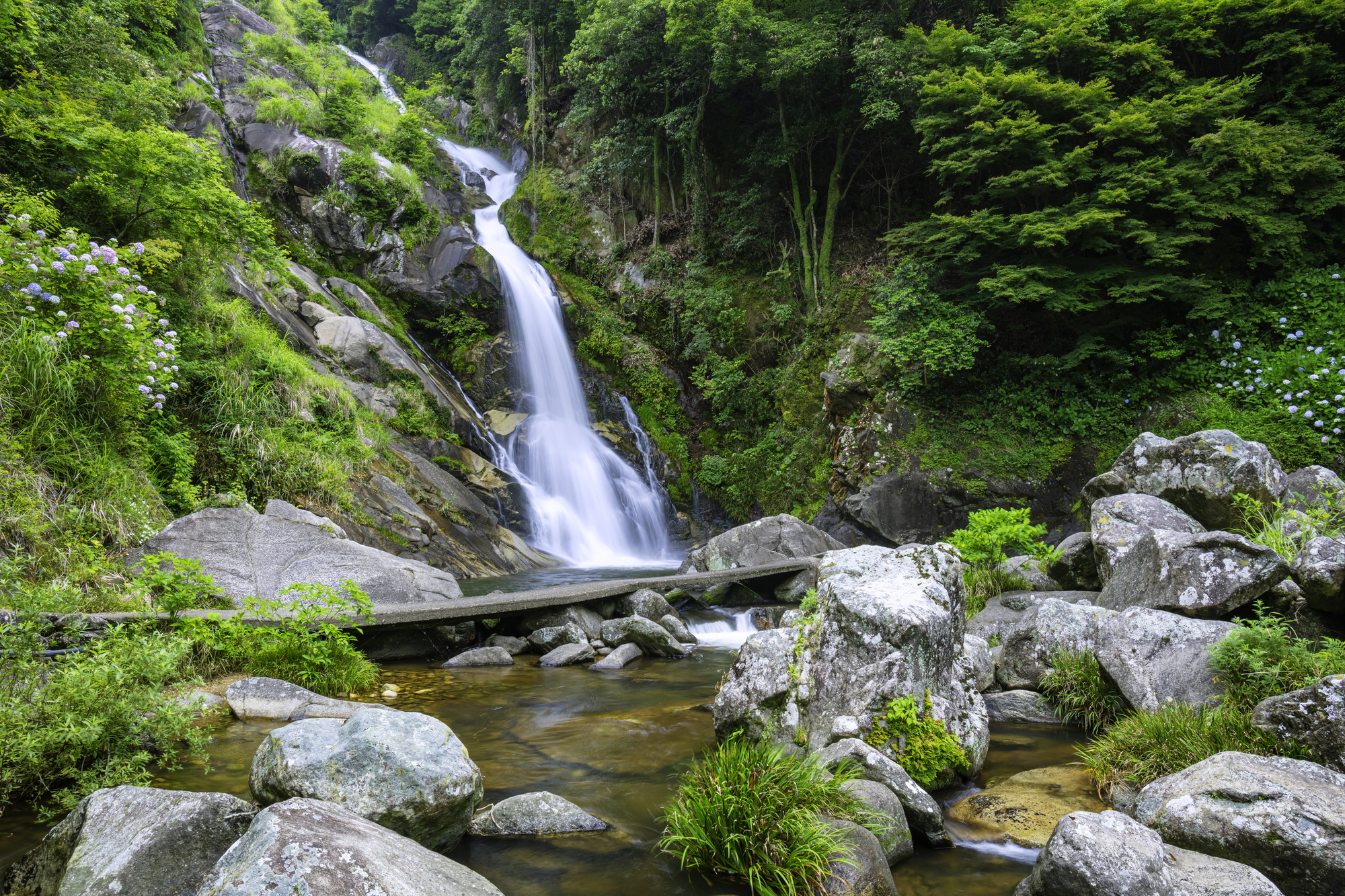 左伊岐佐川(松浦川水系)ライブカメラ一覧