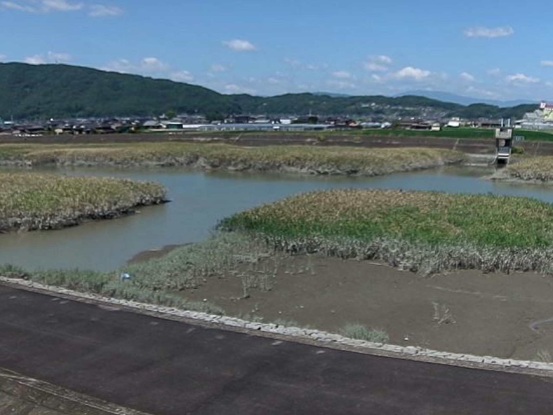 鹿島川重ノ木ライブカメラ(佐賀県鹿島市重ノ木)