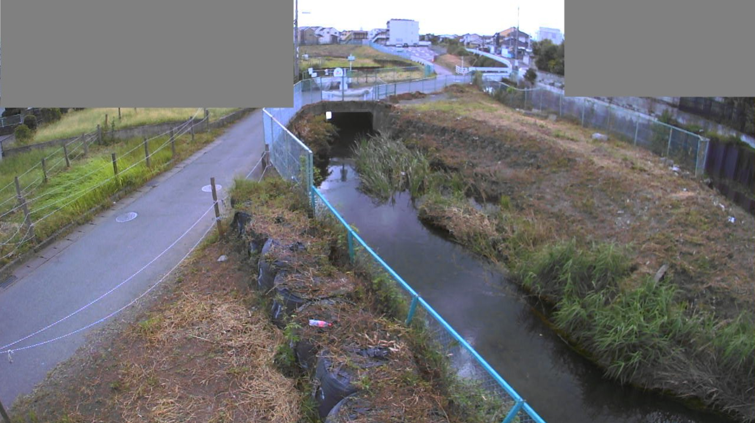 奈坪川東ライブカメラ(栃木県宇都宮市東町)