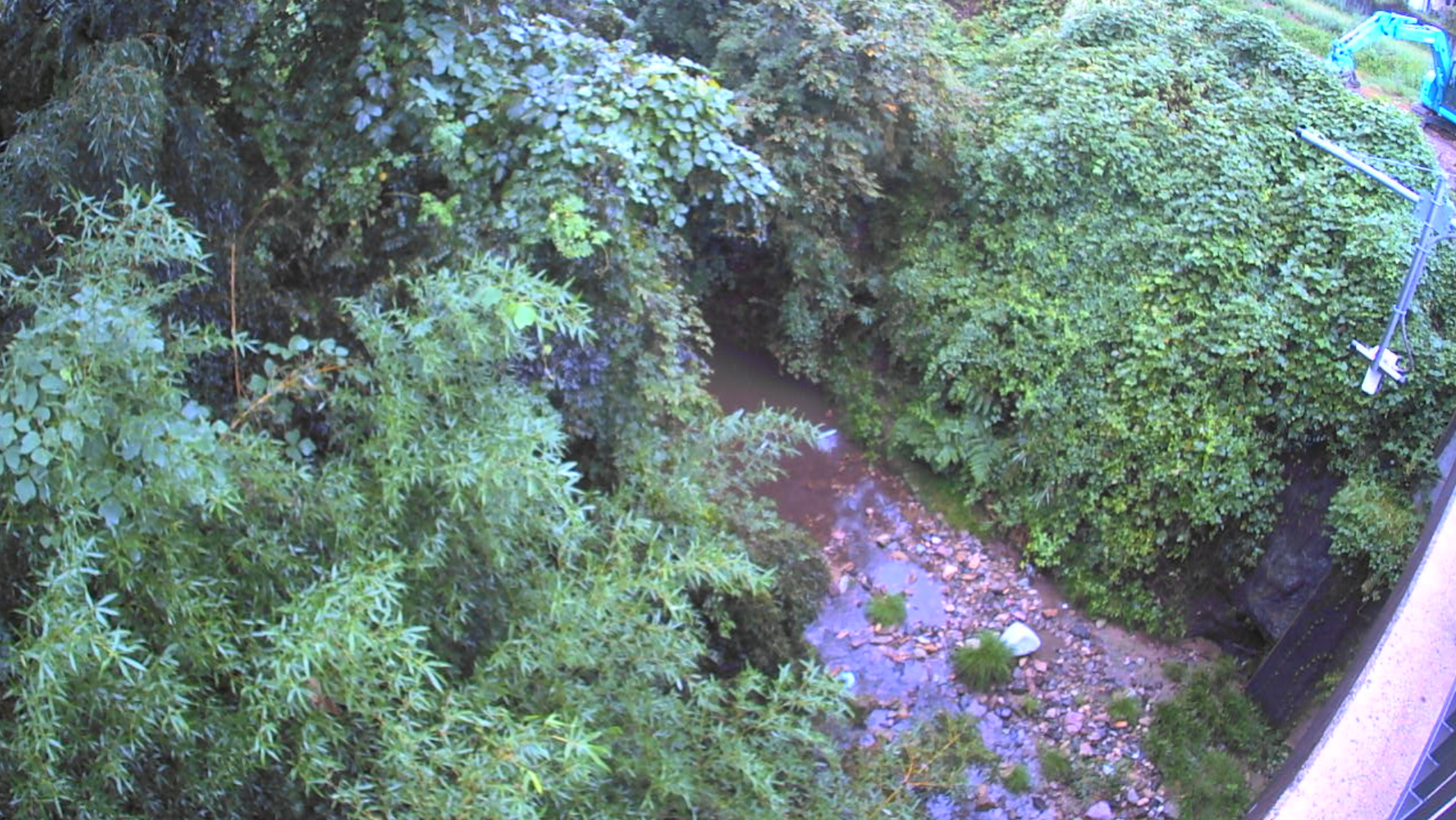 四十九院川中津原橋ライブカメラ(石川県加賀市山中温泉四十九院町)