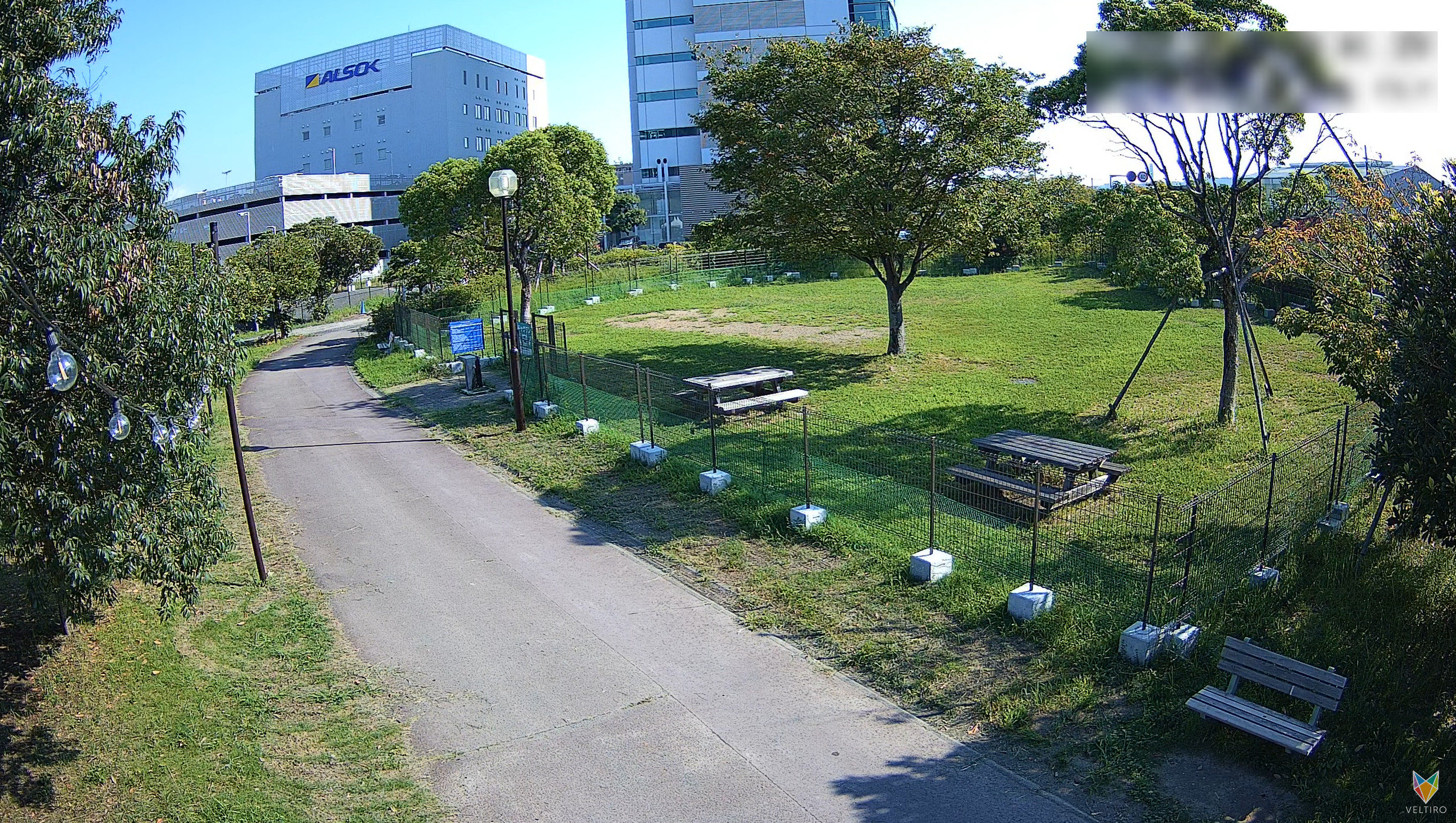 ベルティーロドッグランライブカメラ(静岡県静岡市葵区東静岡)