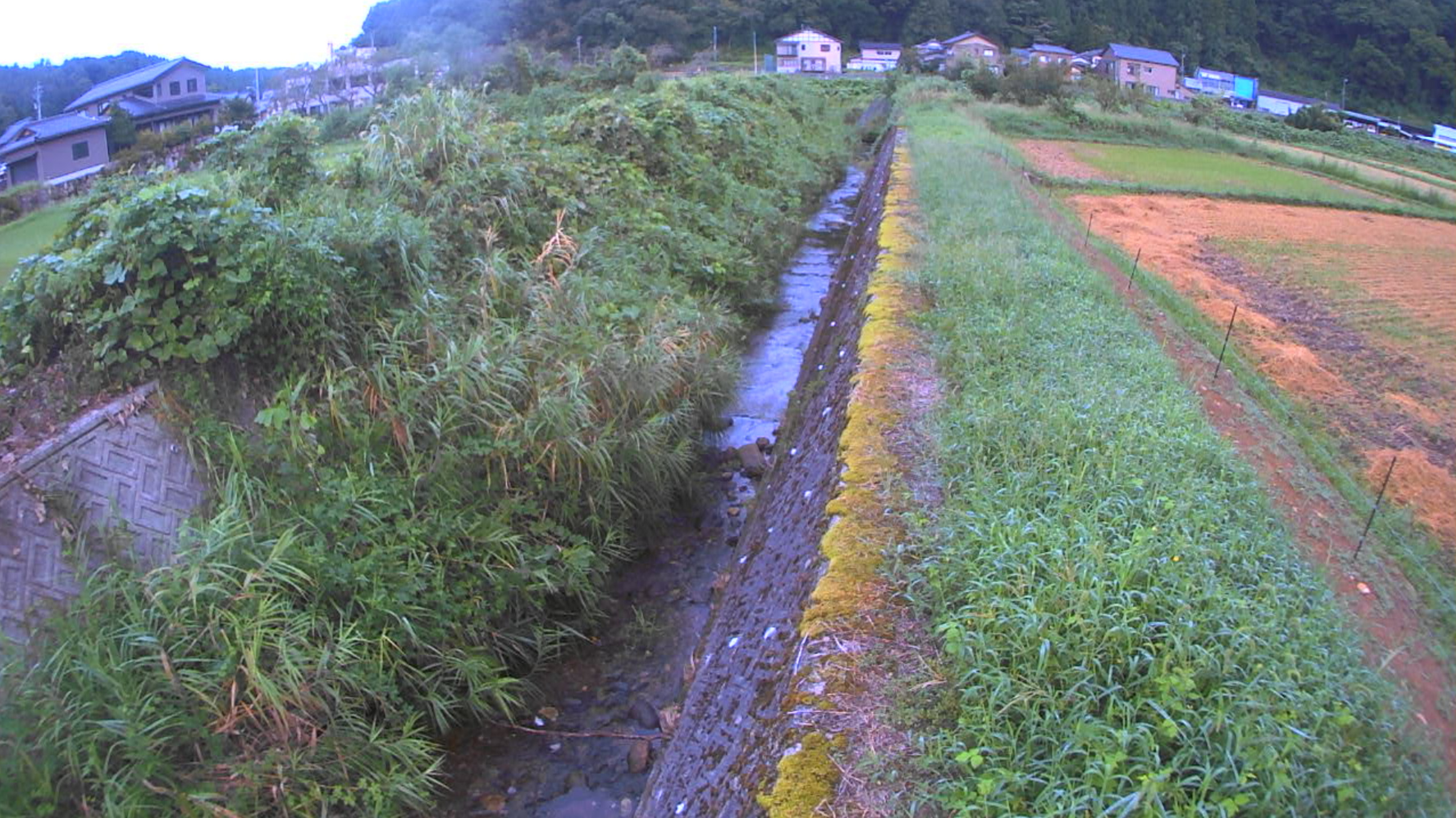 湯の川湯涌田子島ライブカメラ(石川県金沢市湯涌田子島町)