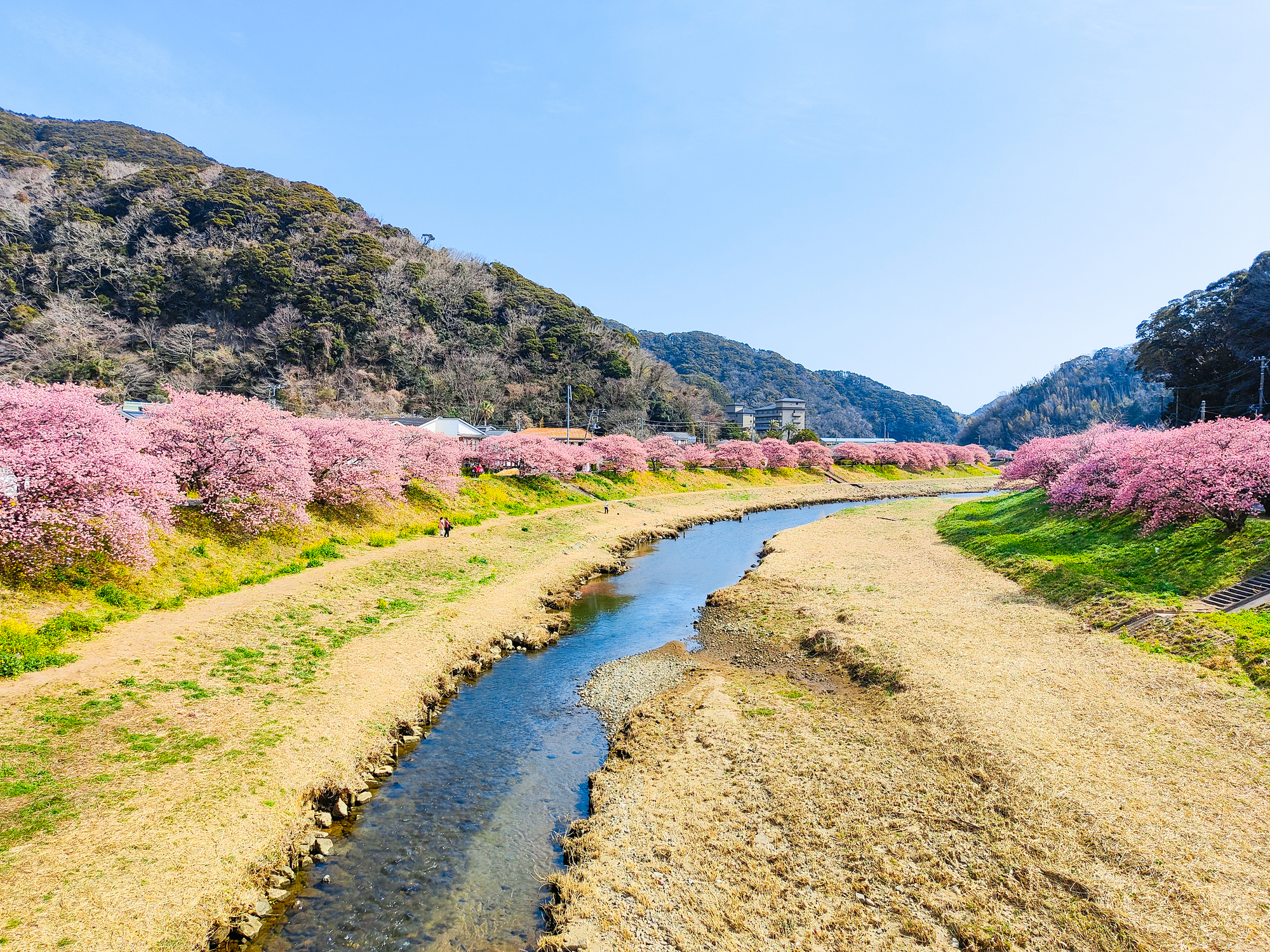 青野川(青野川水系)ライブカメラ一覧