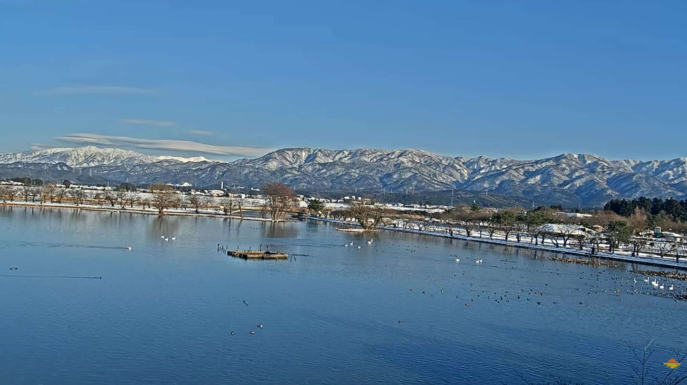 彩りチャンネル瓢湖ライブカメラ(新潟県阿賀野市水原)
