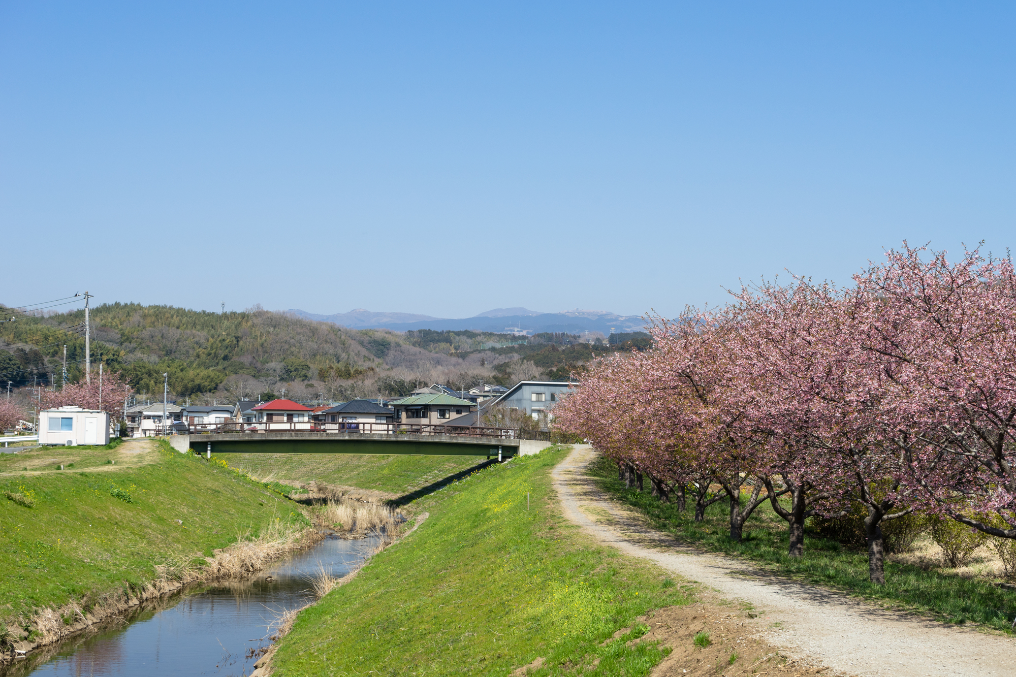 御殿川(狩野川水系)ライブカメラ一覧