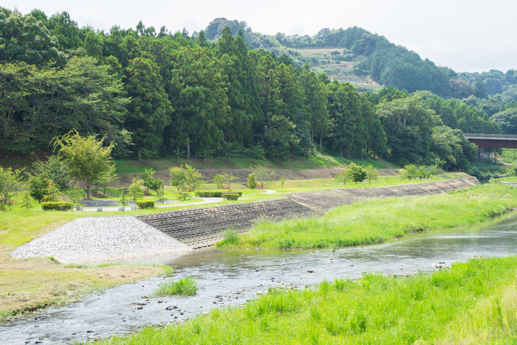 井伊谷川(都田川水系)ライブカメラ一覧