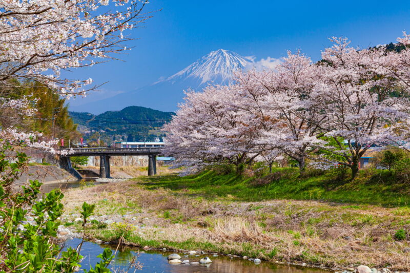 稲瀬川(富士川水系)ライブカメラ一覧