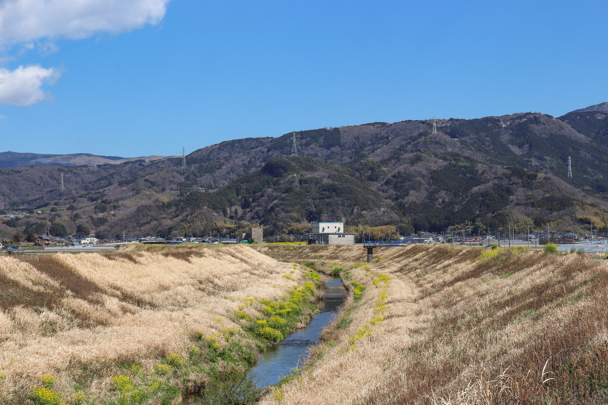 柿沢川(狩野川水系)ライブカメラ一覧